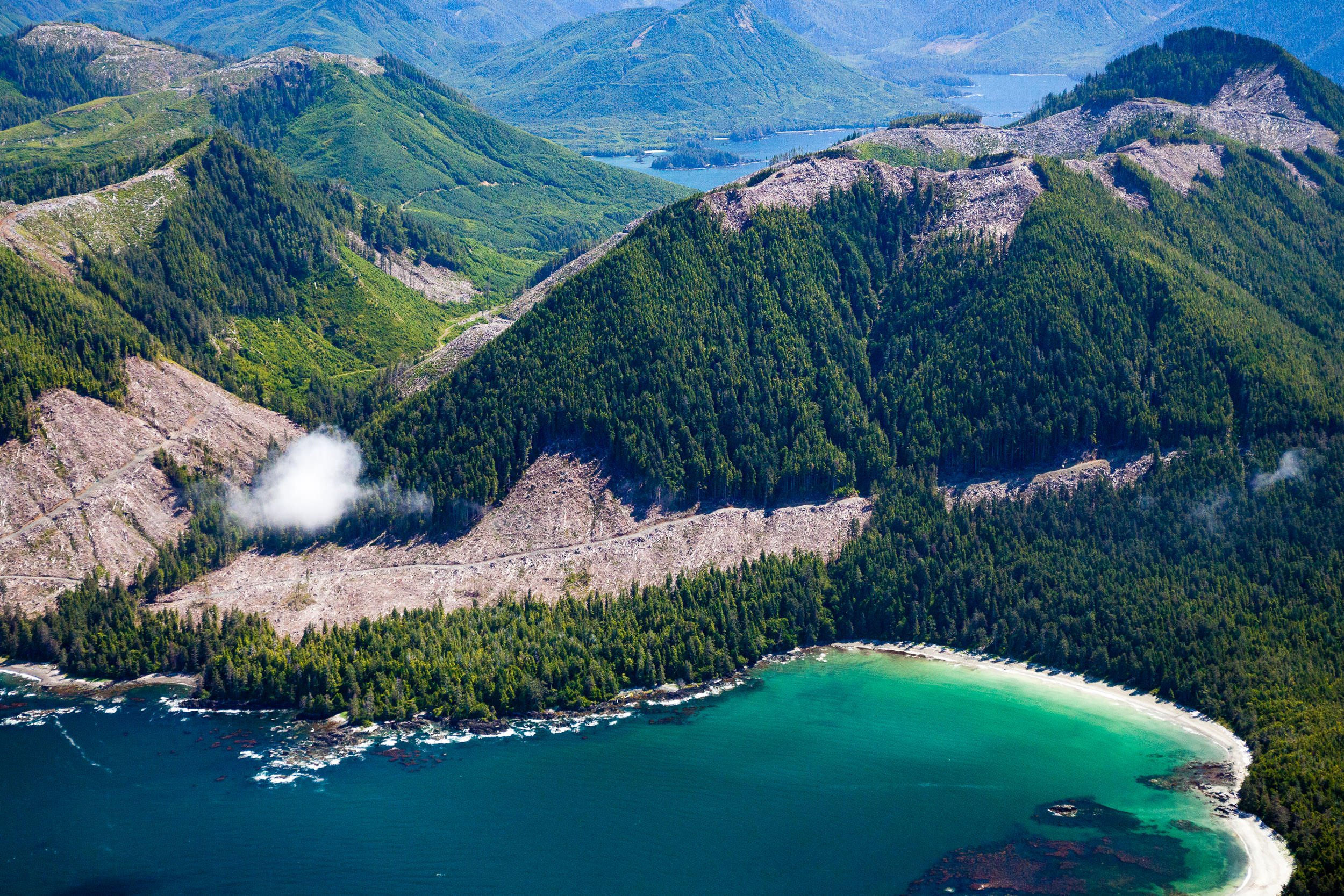 lawn-point-provincial-park-old-growth-logging-aerial-2.jpg