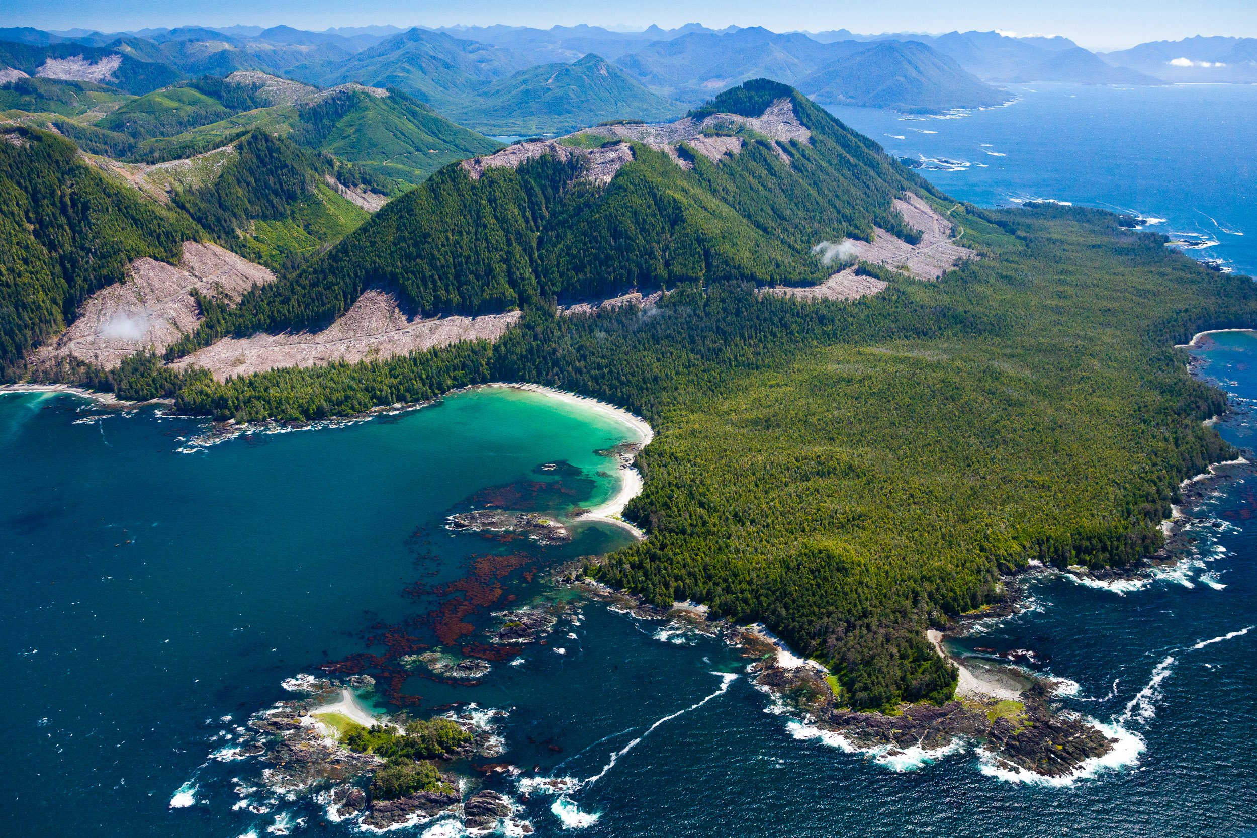 lawn-point-provincial-park-old-growth-logging-aerial-1.jpg