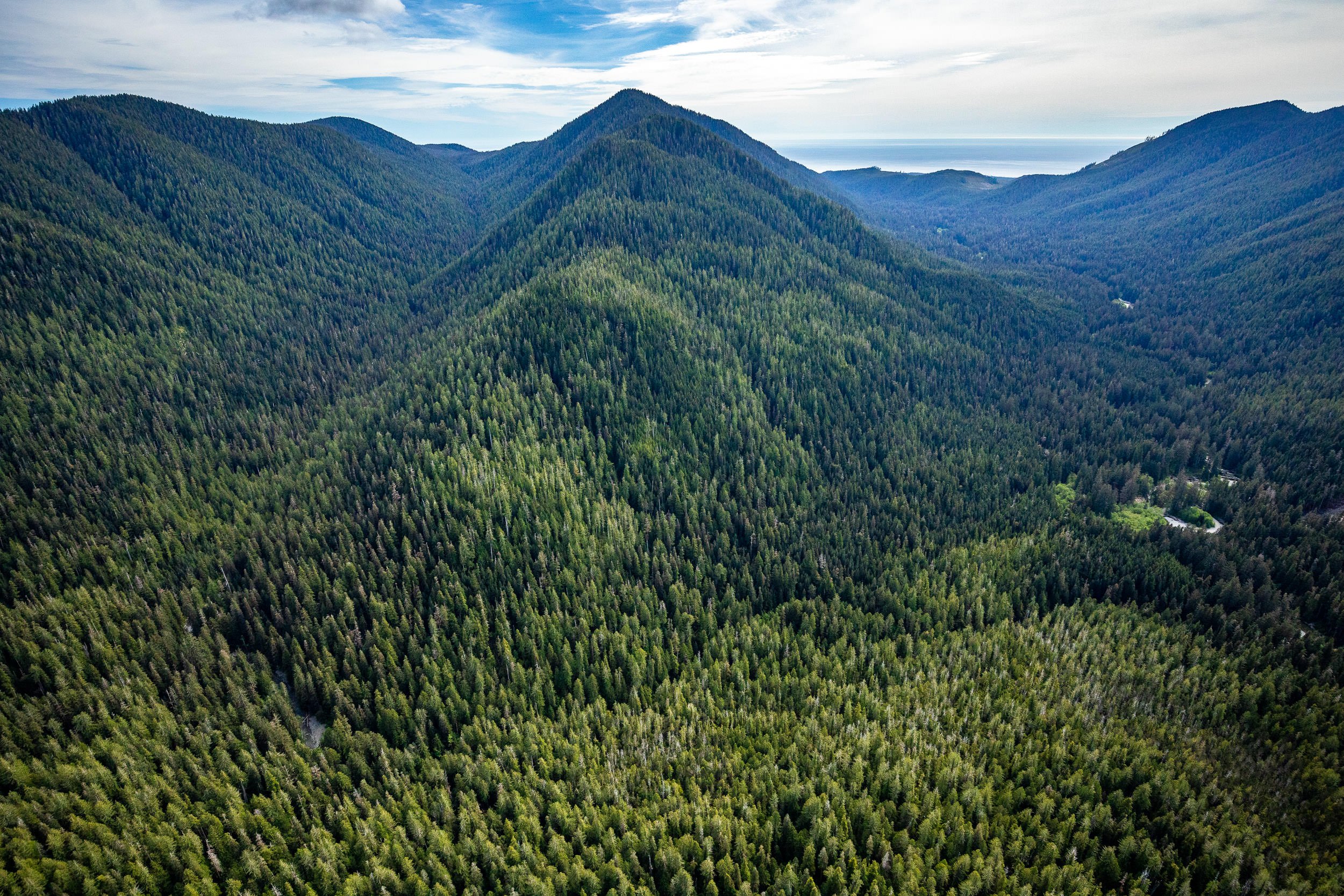 august-creek-carmanah-valley-provincial-park-aerial.jpg