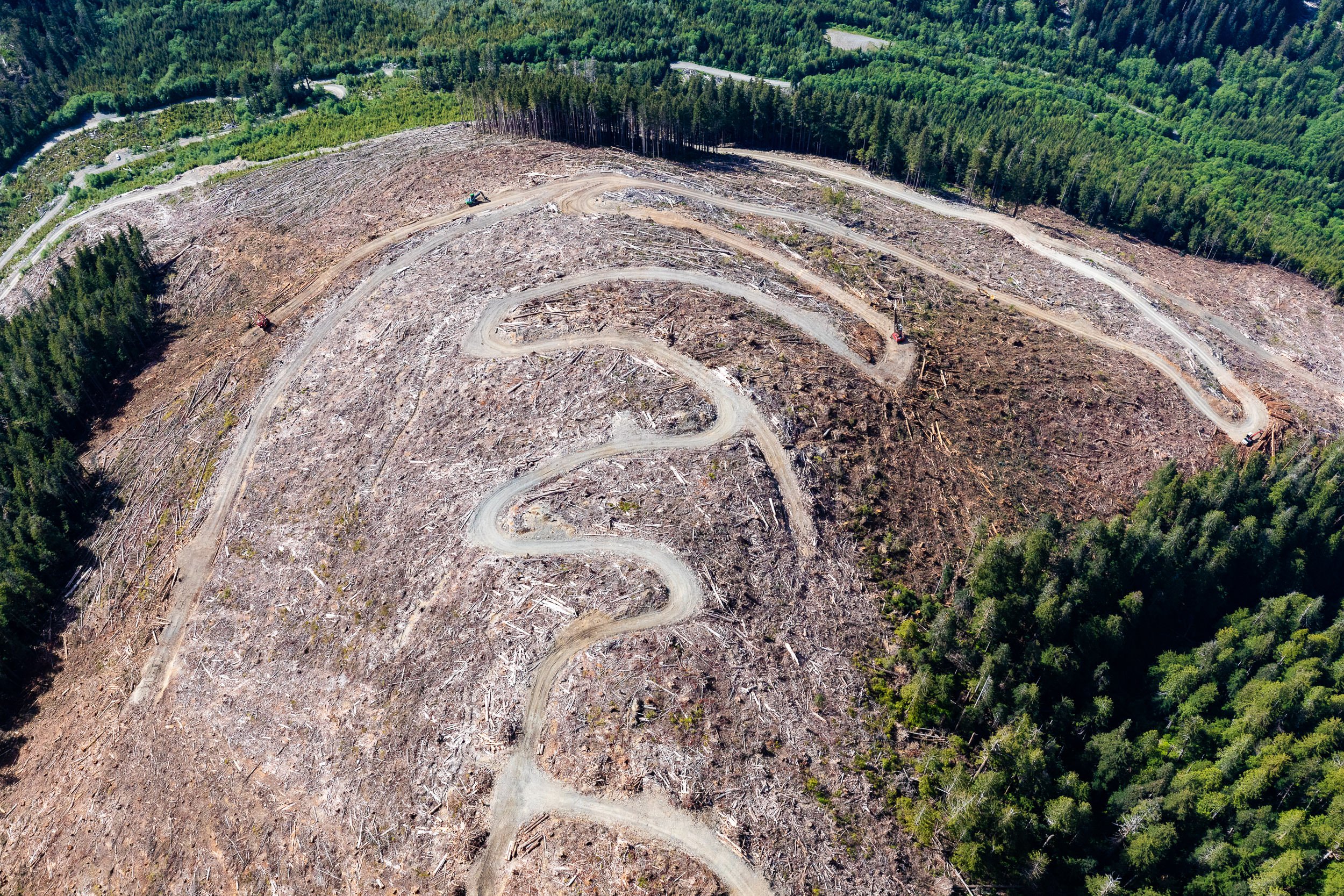 western-forest-products-old-growth-clearcut-klanawa-road-network.jpg