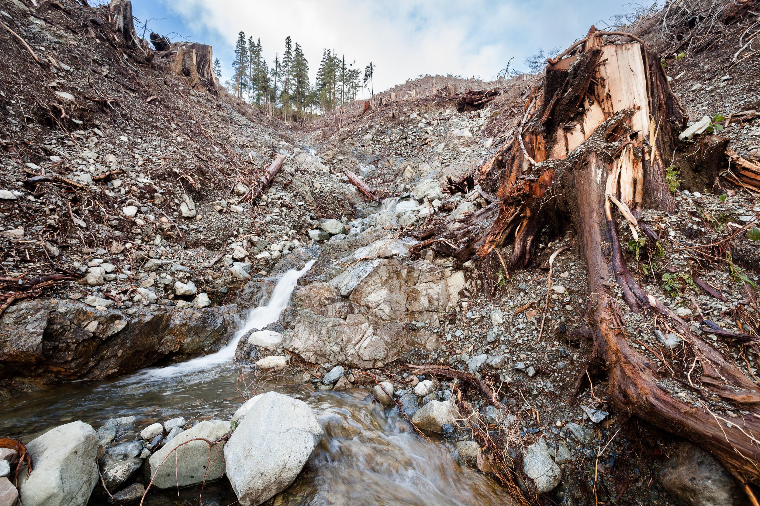 old-growth-logging-stream-impacts-klanawa-valley.jpg