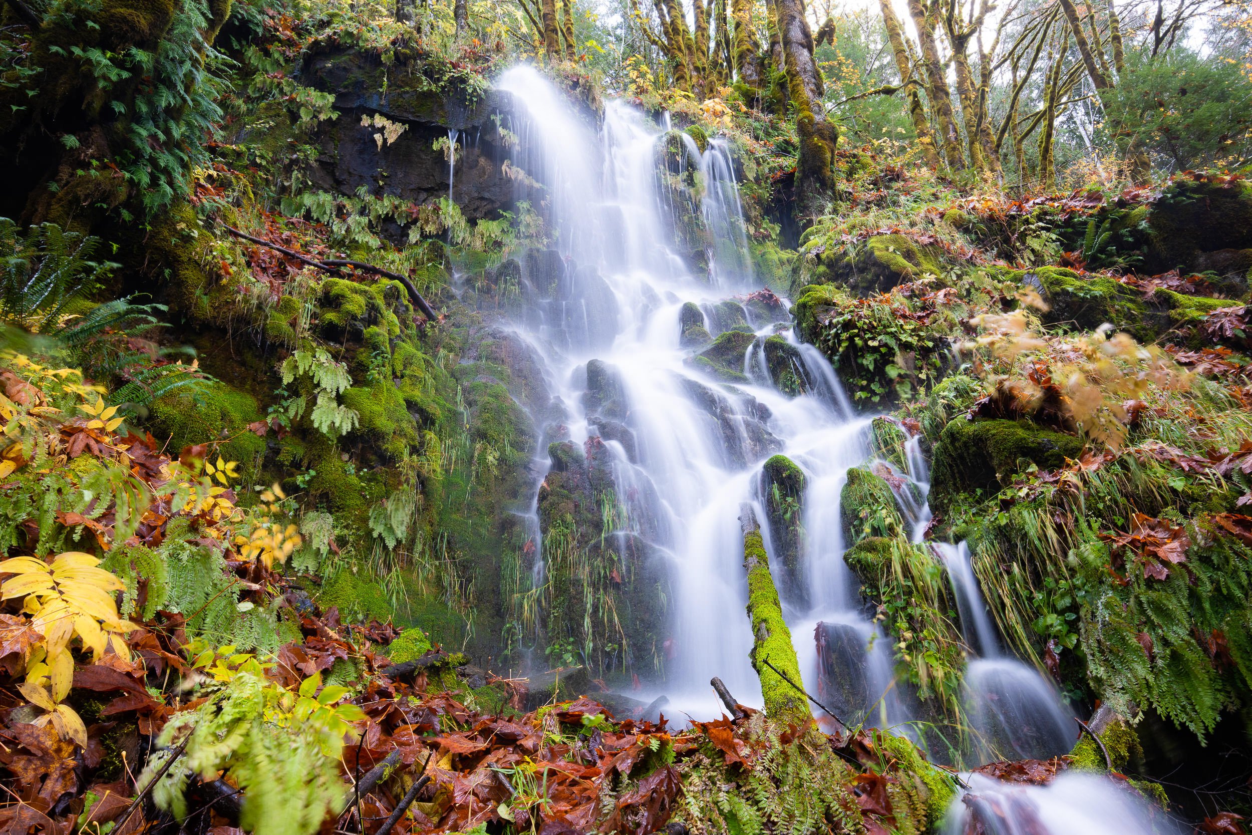 autumn-falls-cowichan-waterfall.jpg