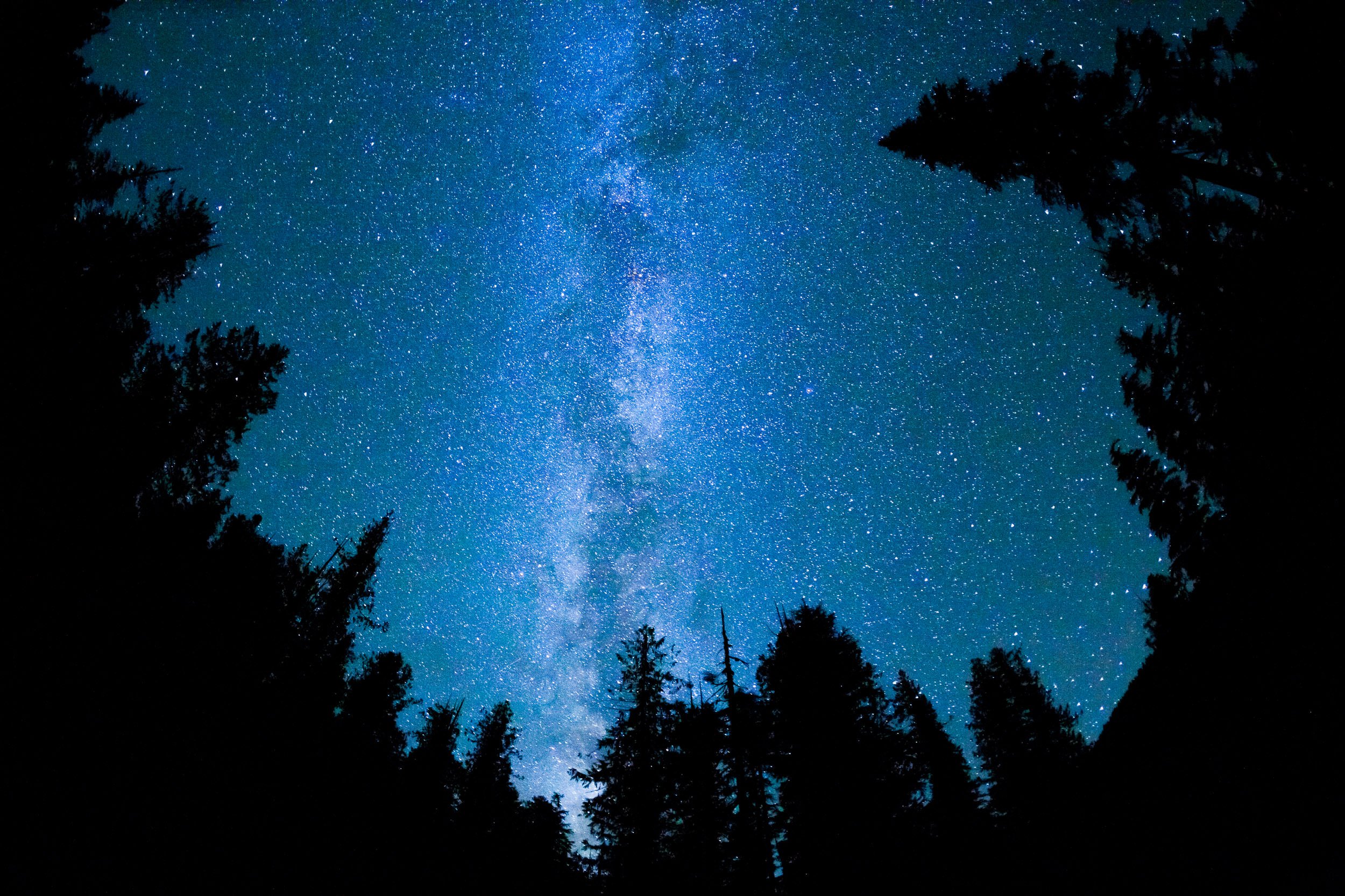 milky-way-walbran-valley-old-growth-forest.jpg