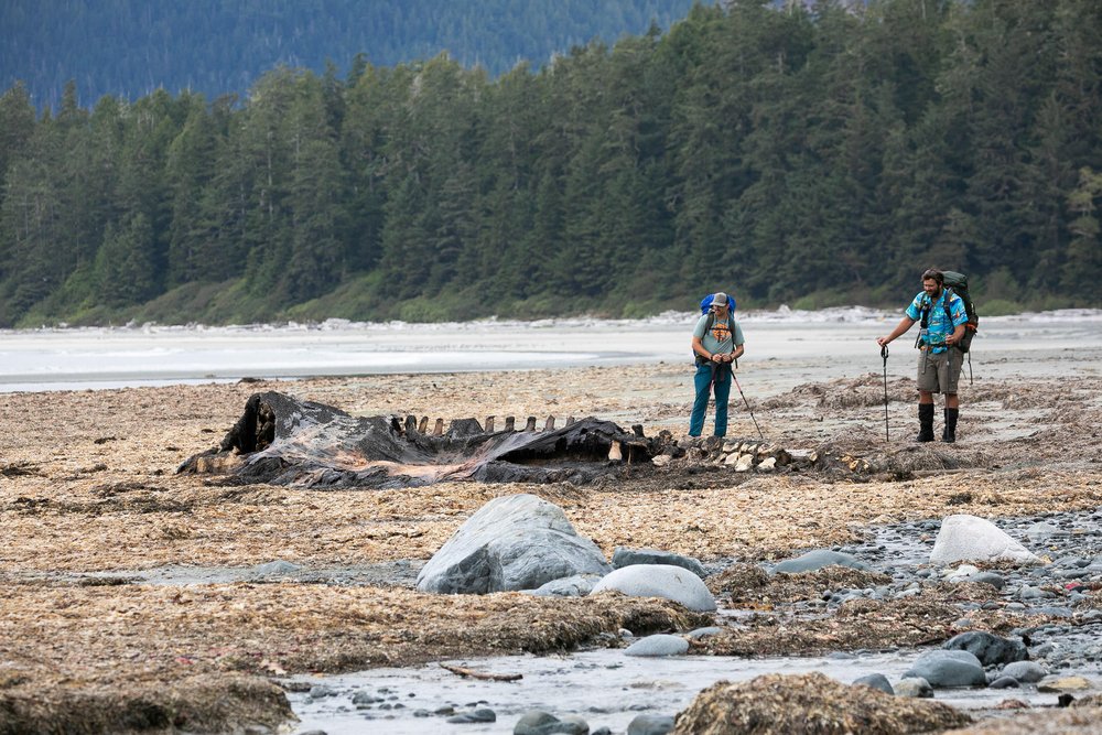 nootka-trail-vancouver-island-bc-641.jpg