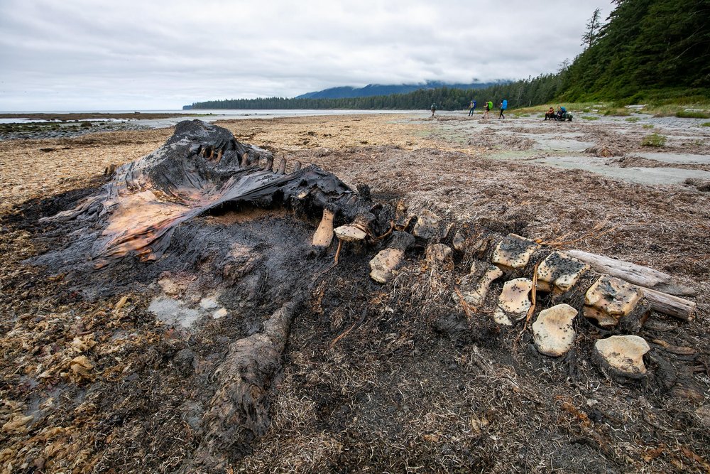 nootka-trail-vancouver-island-bc-646.jpg