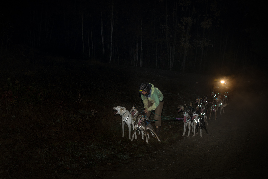 DSC8338-sally_train.jpg