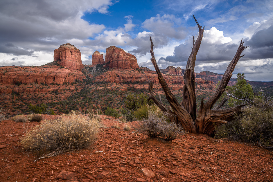 DSC_8125-sedona.jpg