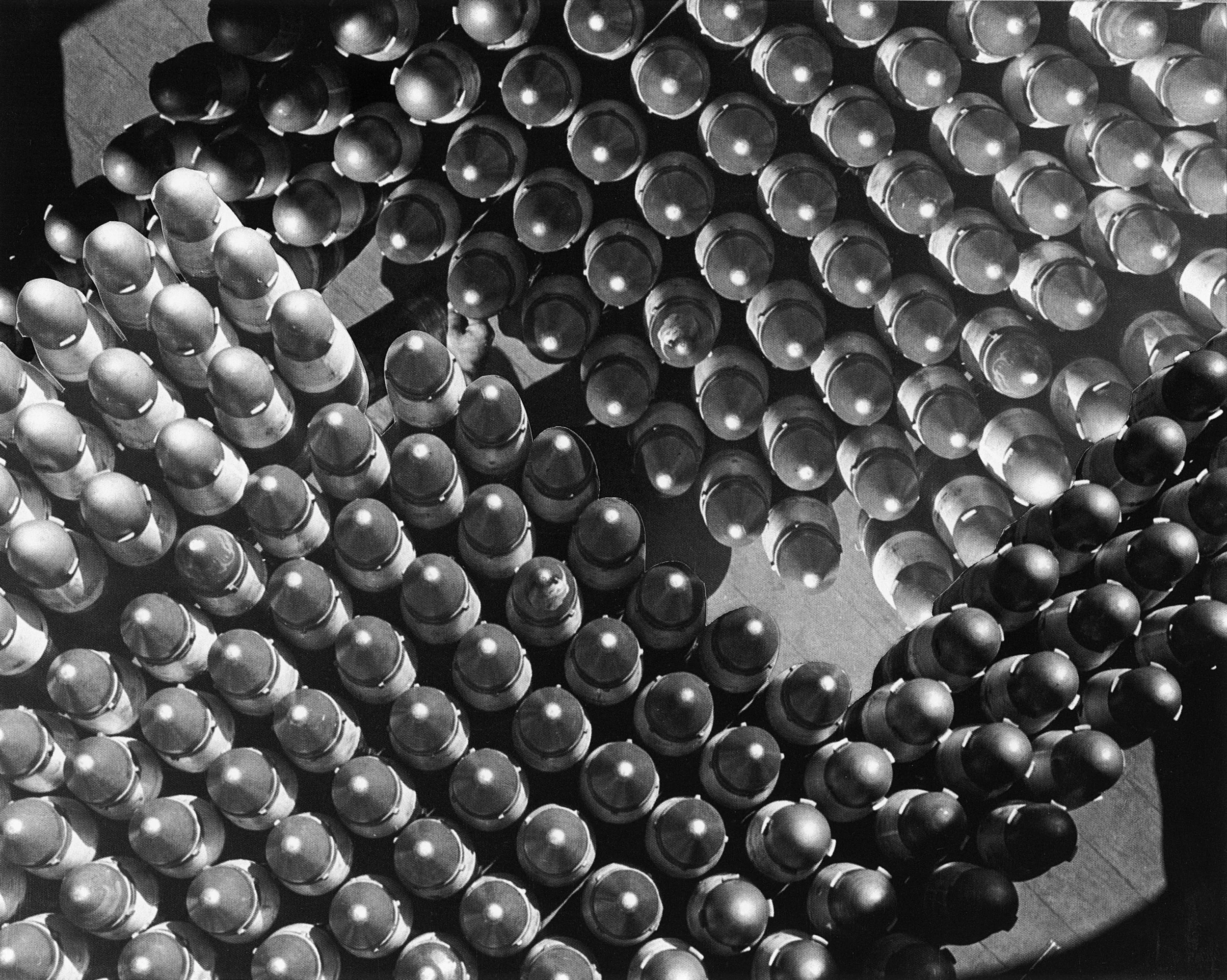 02_MYoung_Shells and a Hand.jpg