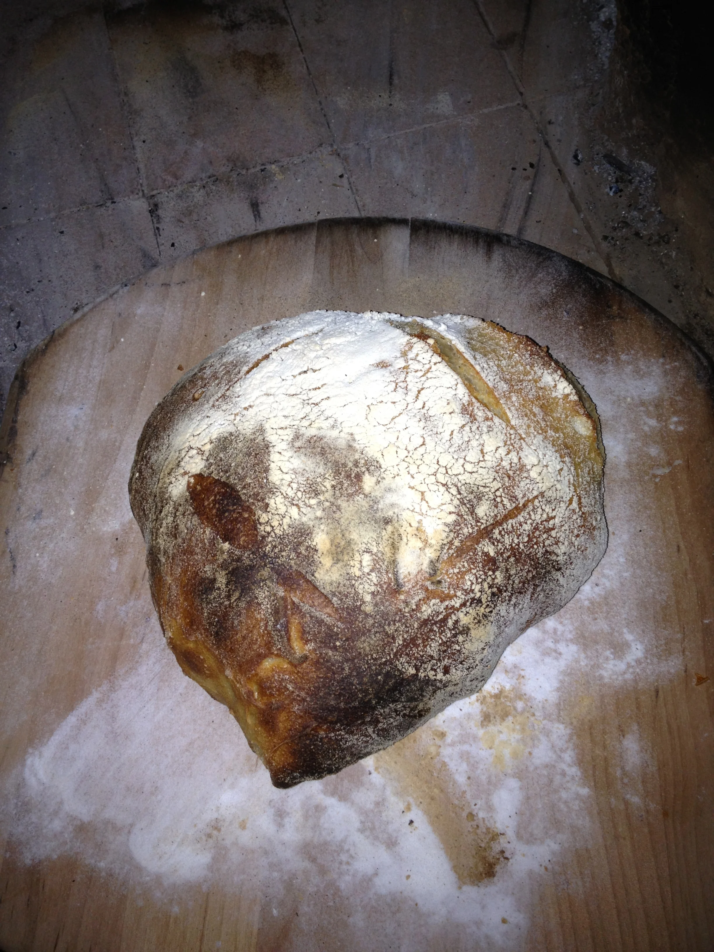 Bread from the oven