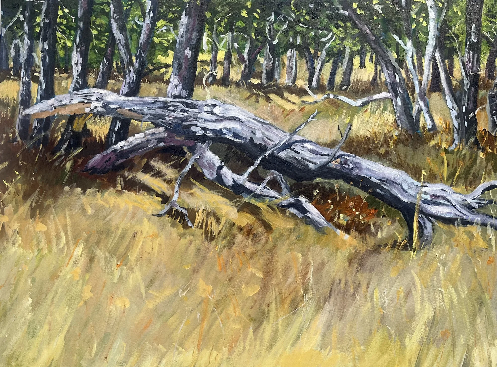 Summer Field, Lyle
