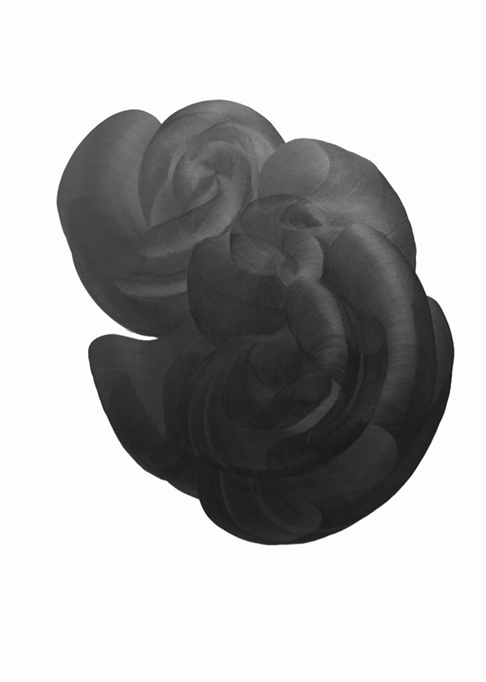 Patrick Kelly, Carbon trace 24 , 2015, graphite on paper, 42 x 30”, Private Collection