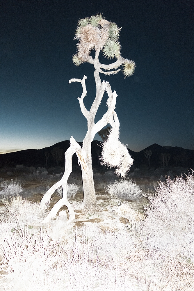 DELANEY ALLEN, 2.1 (Documentation of Landscape) , 2016, archival pigment print, 30 x 20" 