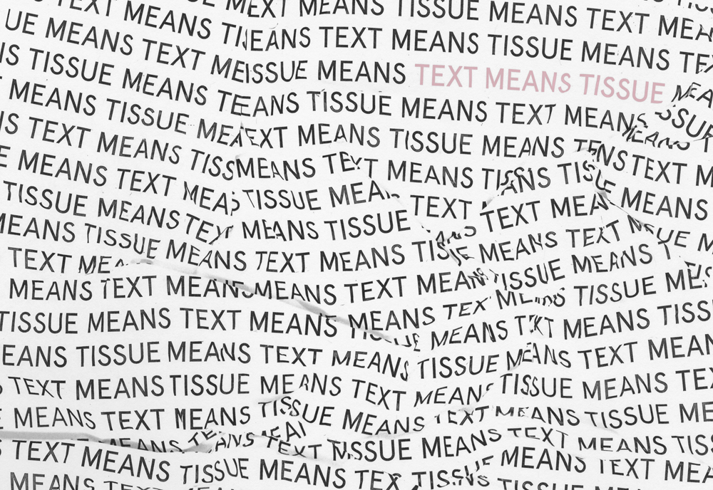 Cover of Francesca's book Text means Tissue, which includes over 30 contributing writers