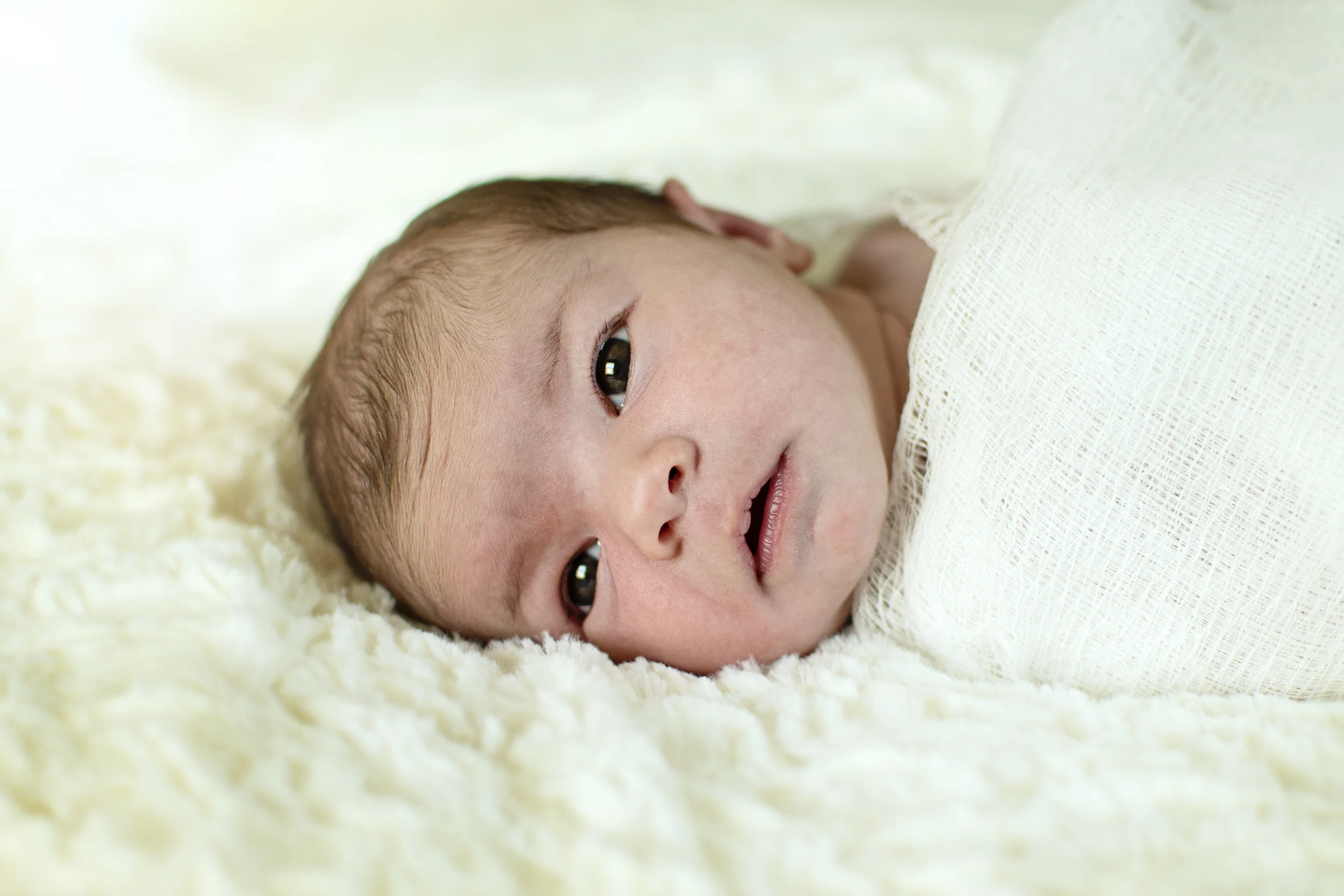 Smith | Maternity + Newborn