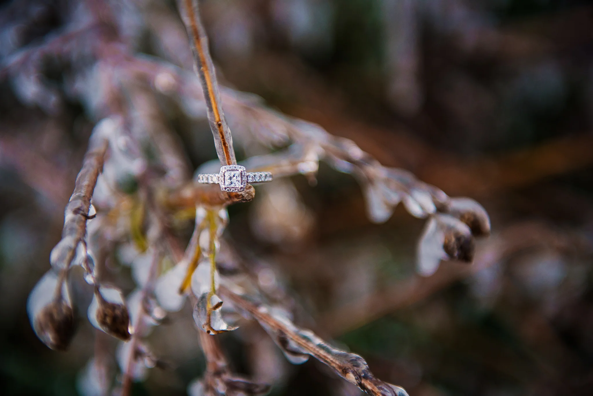 DSC_4335.jpg