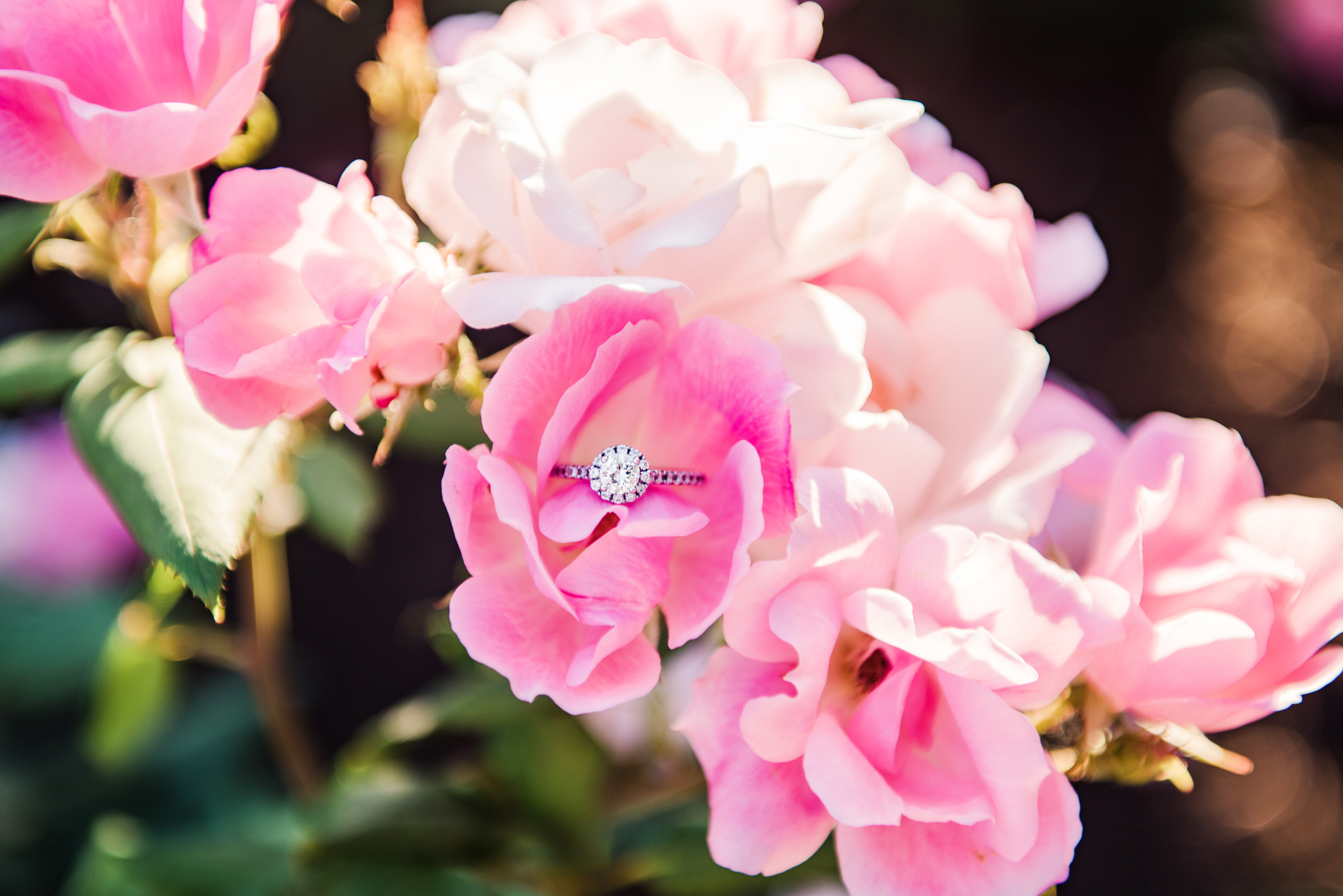JILLSTUDIO_Memorial_Art_Gallery_Rochester_Engagement_Session_Rochester_NY_Photographer_DSC_3580.jpg