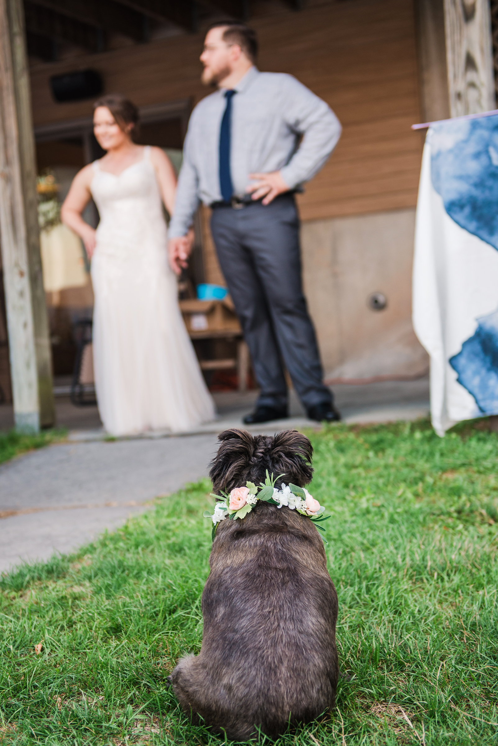 Camp_David_Finger_Lakes_Wedding_JILL_STUDIO_Rochester_NY_Photographer_DSC_3796.jpg