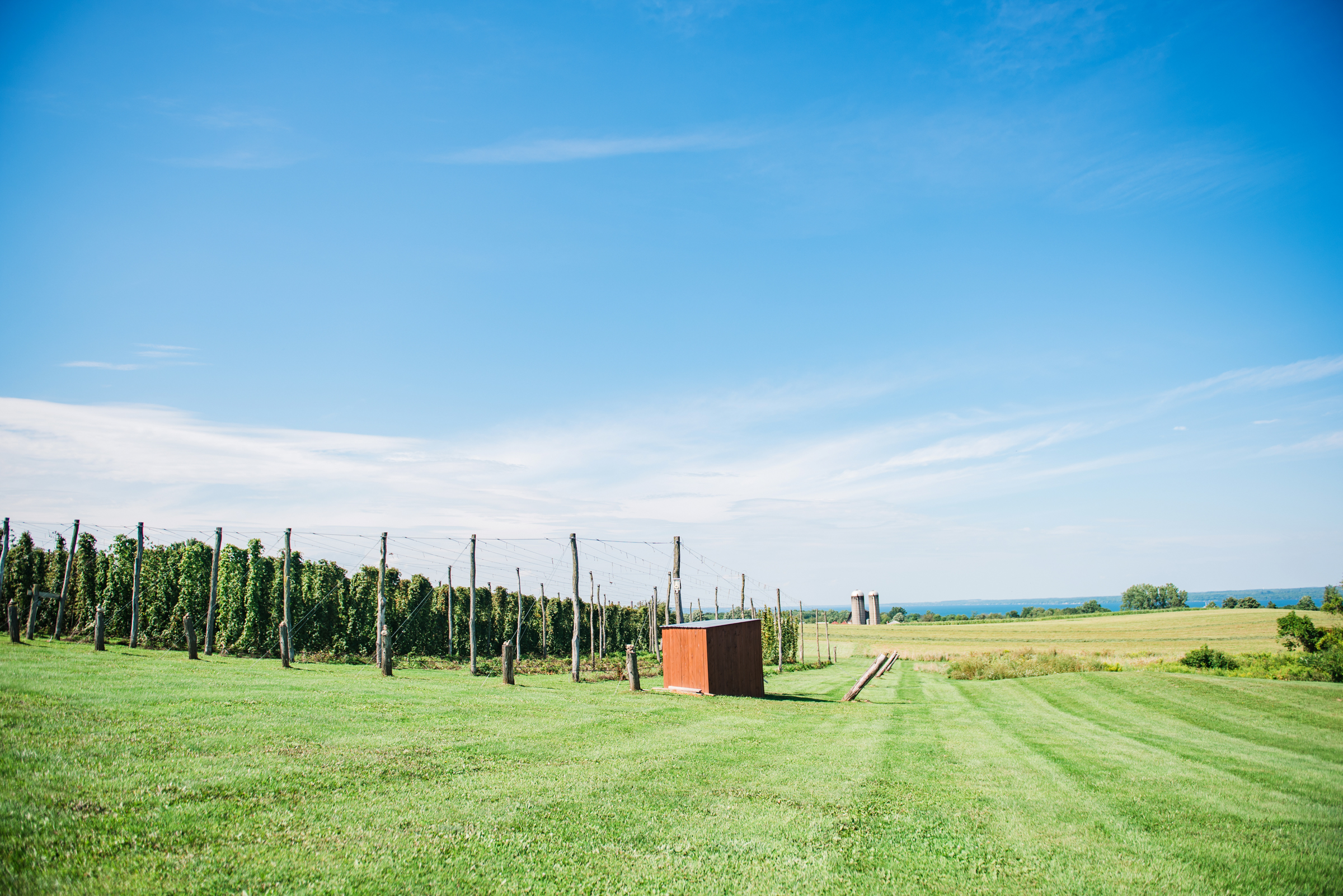 Climbing_Bines_Finger_Lakes_Wedding_JILL_STUDIO_Rochester_NY_Photographer_154009.jpg