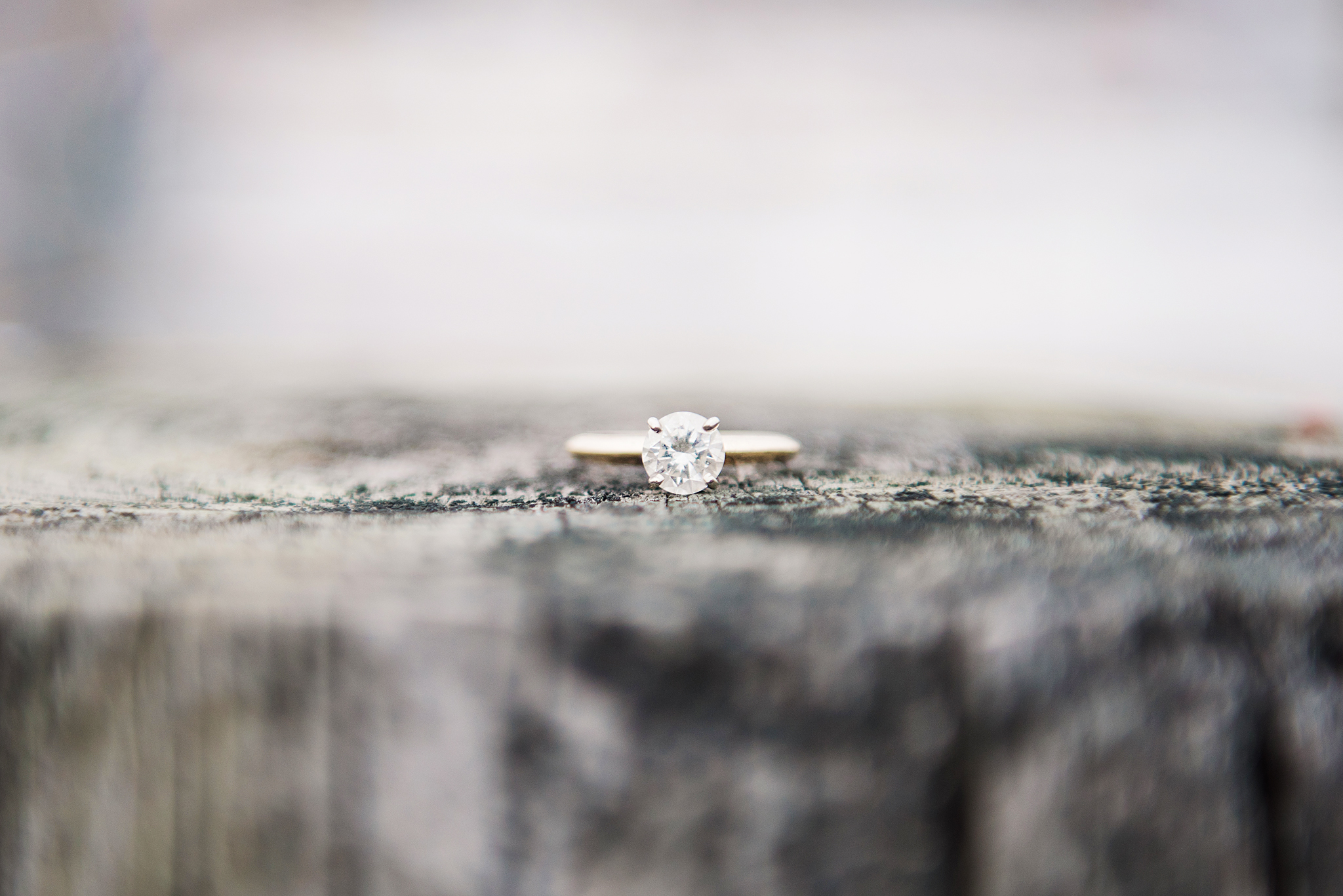 George_Eastman_House_Rochester_Yacht_Club_Rochester_Engagement_Session_JILL_STUDIO_Rochester_NY_Photographer_DSC_8213.jpg