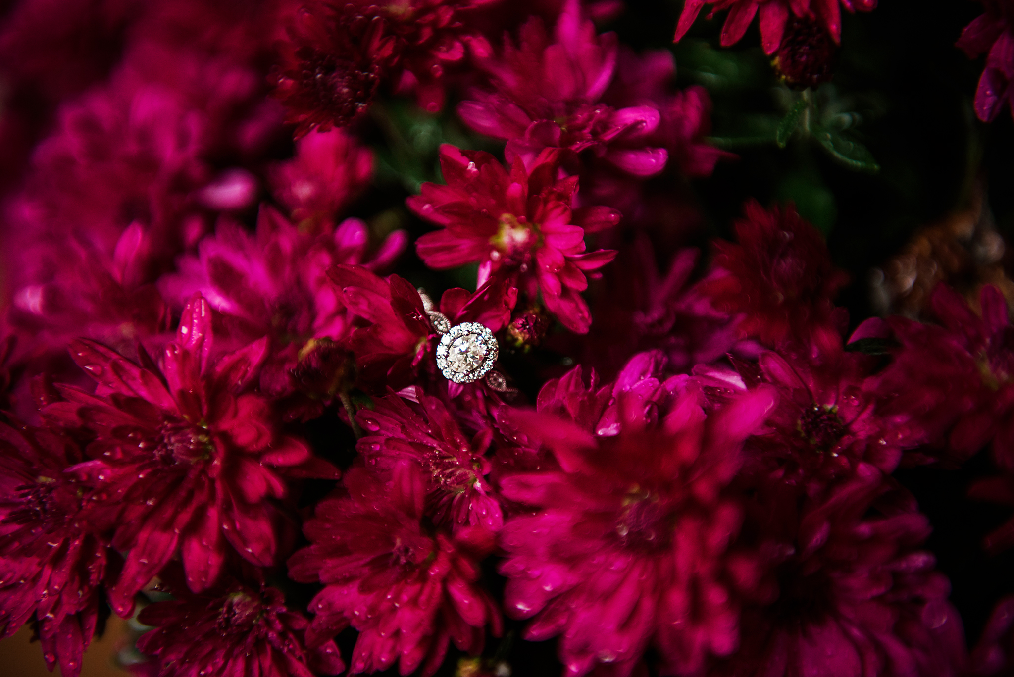 Cincinnatus_Central_NY_Engagement_Session_JILL_STUDIO_Rochester_NY_Photographer_DSC_9908.jpg