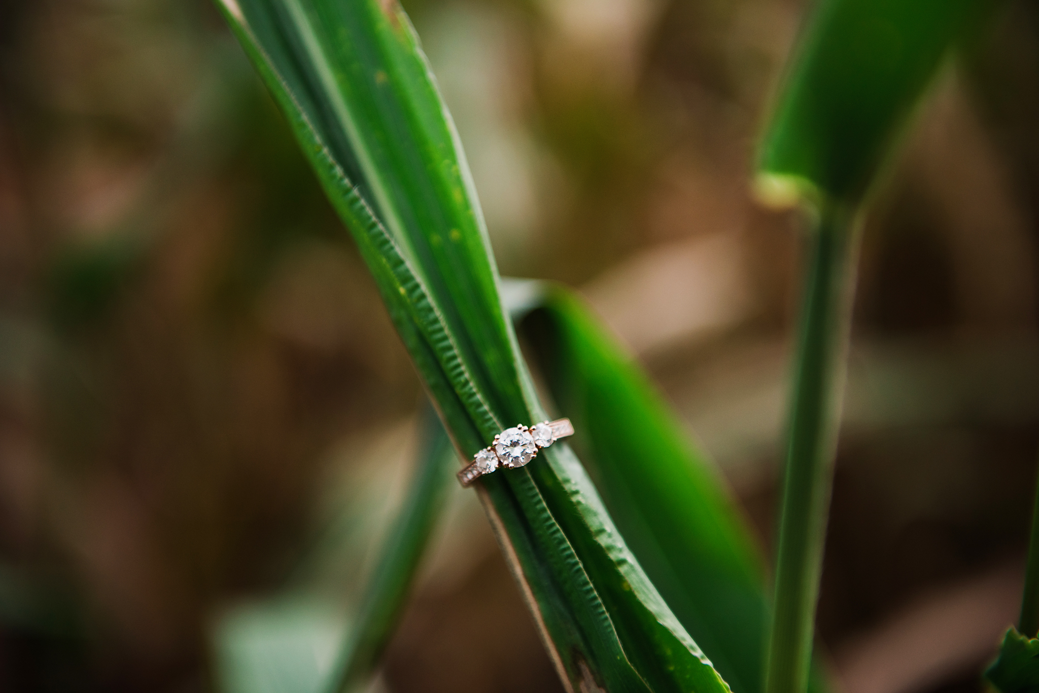 Becker_Farms_Buffalo_Engagement_Session_JILL_STUDIO_Rochester_NY_Photographer_DSC_4806.jpg