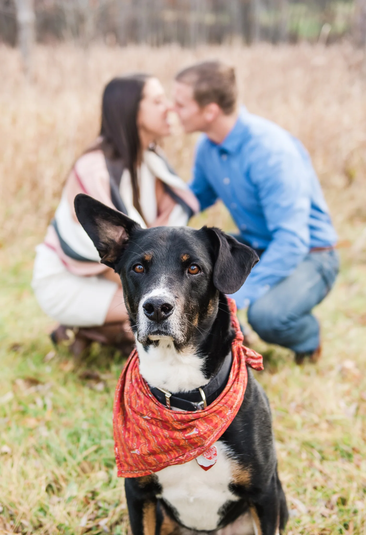 Mendon_Ponds_Park_Rochester_Engagement_Session_JILL_STUDIO_Rochester_NY_Photographer_DSC_0228.jpg