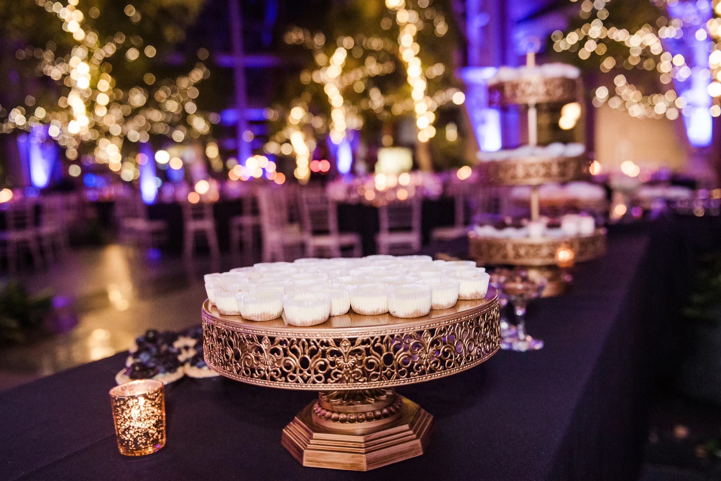 Wintergarden_by_Monroes_Rochester_Wedding_JILL_STUDIO_Rochester_NY_Photographer_194525.jpg