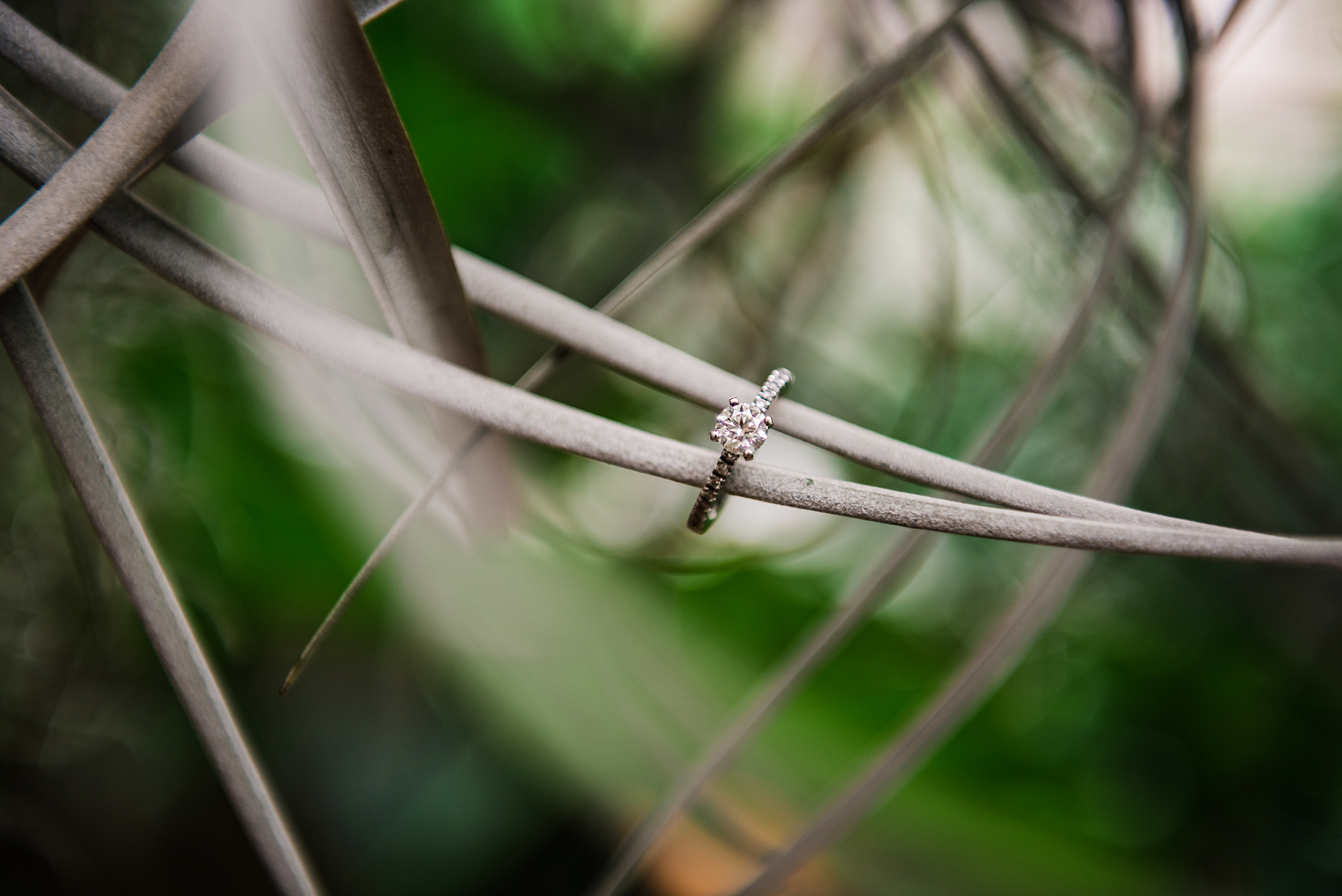 Lamberton_Conservatory_Warner_Castle_Rochester_Engagement_Session_JILL_STUDIO_Rochester_NY_Photographer_DSC_0895.jpg