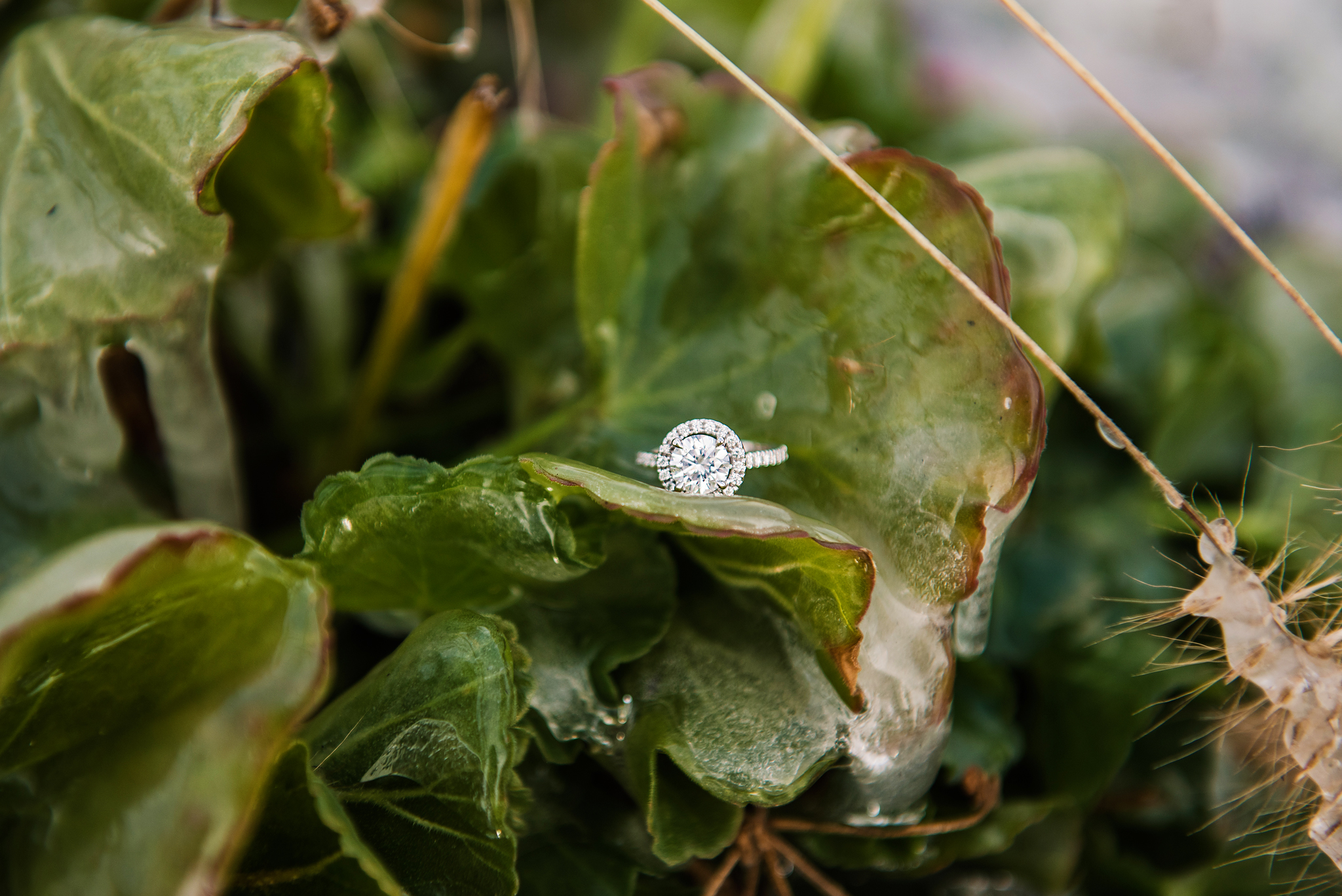 Watkins_Glen_State_Park_Shequaga_Falls_Finger_Lakes_Proposal_JILL_STUDIO_Rochester_NY_Photographer_DSC_1492.jpg