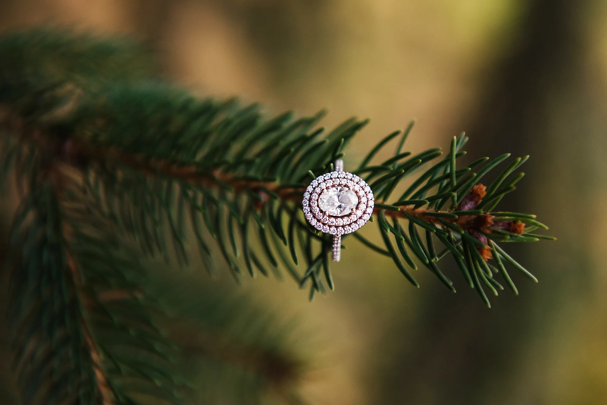 Schoen_Place_Rochester_Engagement_Session_JILL_STUDIO_Rochester_NY_Photographer_DSC_2150.jpg