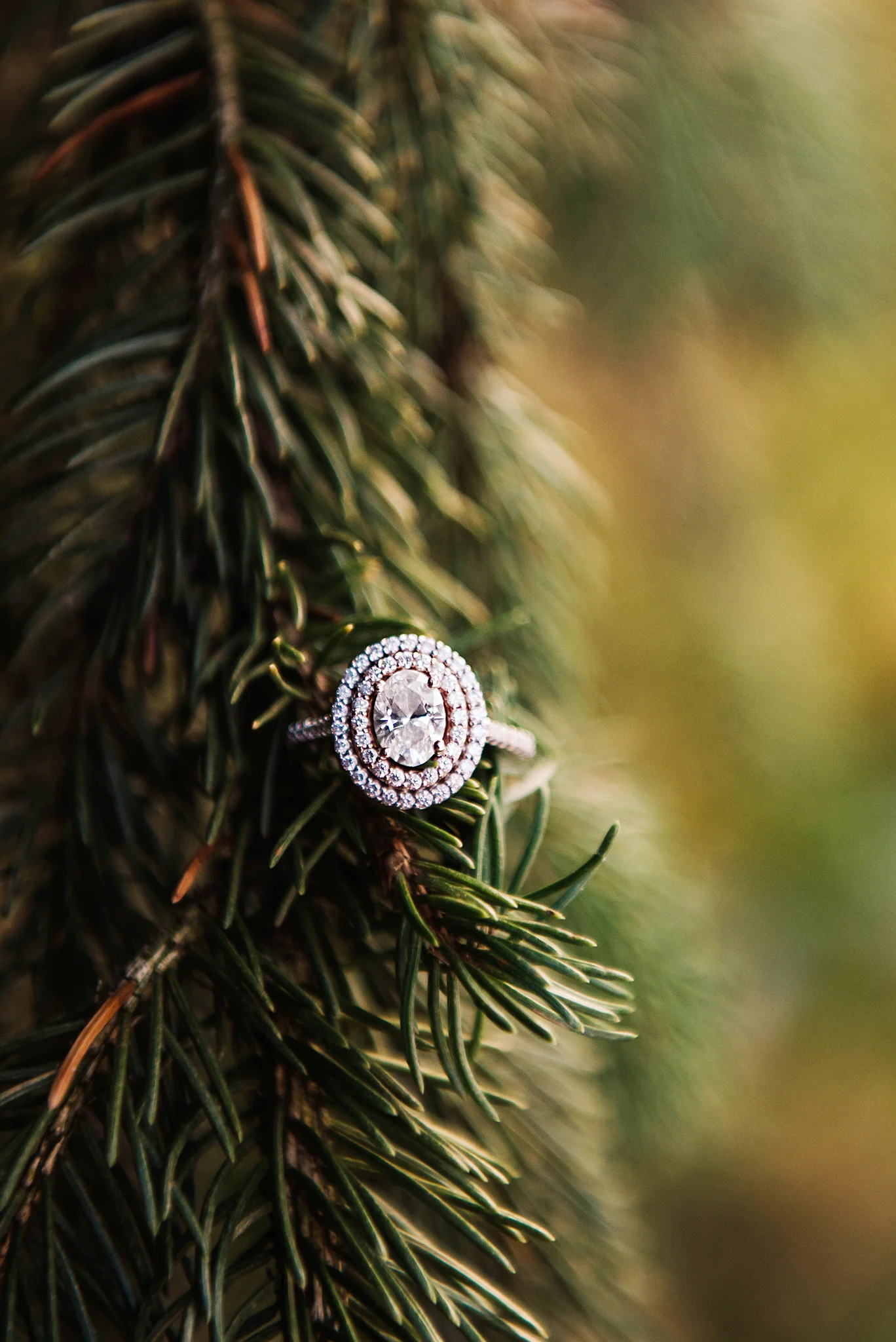 Schoen_Place_Rochester_Engagement_Session_JILL_STUDIO_Rochester_NY_Photographer_DSC_2158.jpg