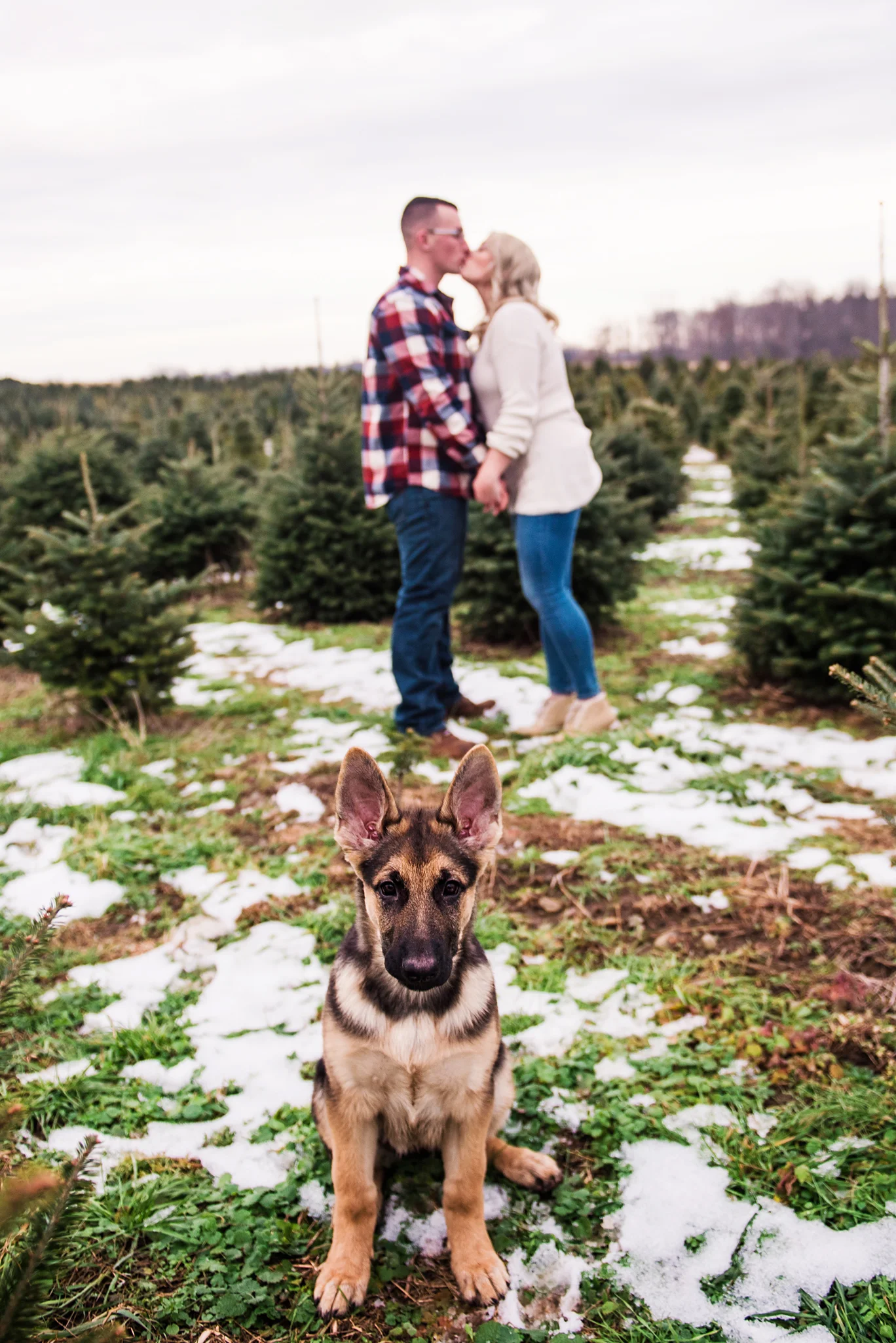 Woody_Acres_Rochester_Family_Session_JILL_STUDIO_Rochester_NY_Photographer_DSC_2494.jpg