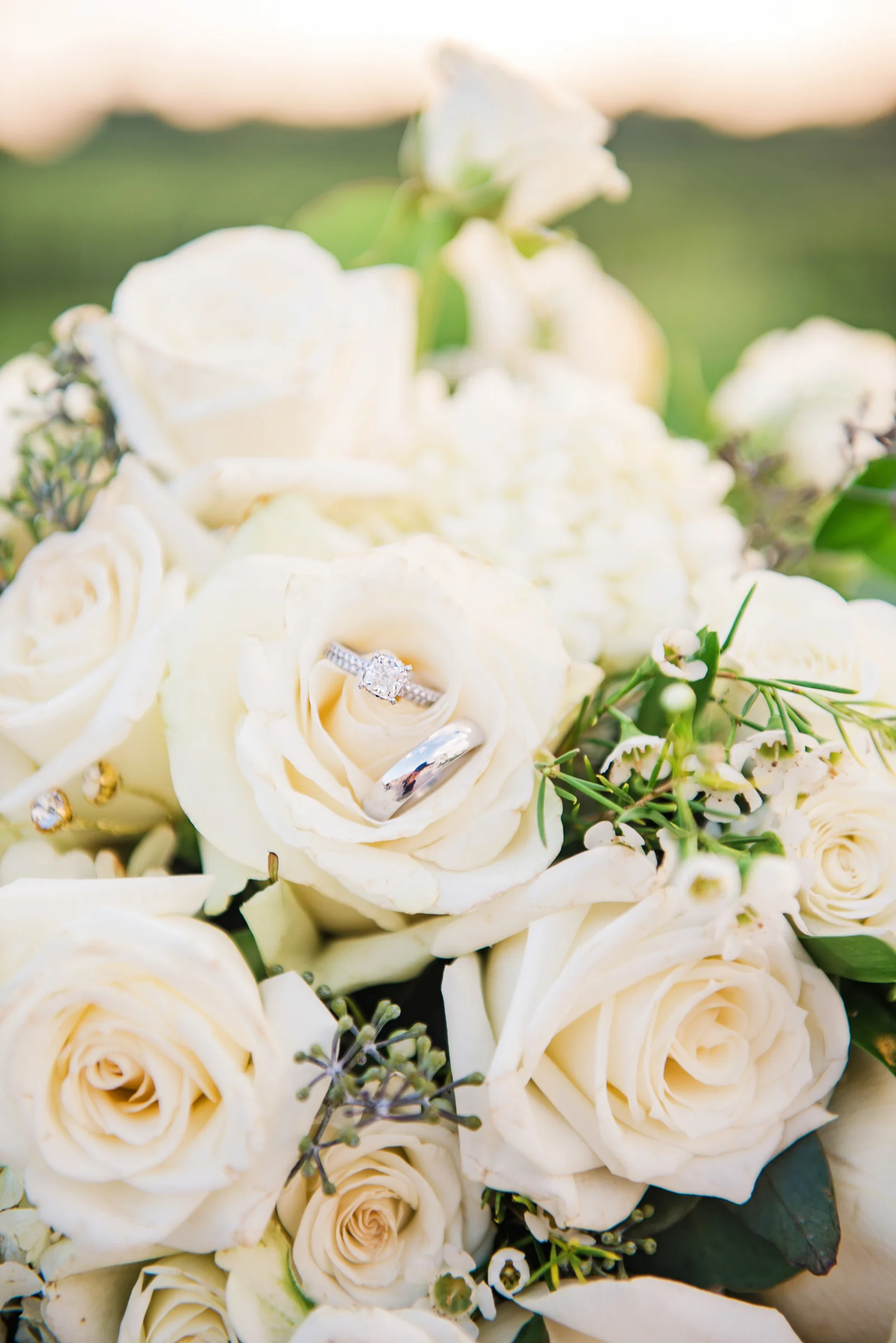 JILL_STUDIO_Wedding_JILL_STUDIO_Rochester_NY_Photographer_21-DSC_3095.jpg