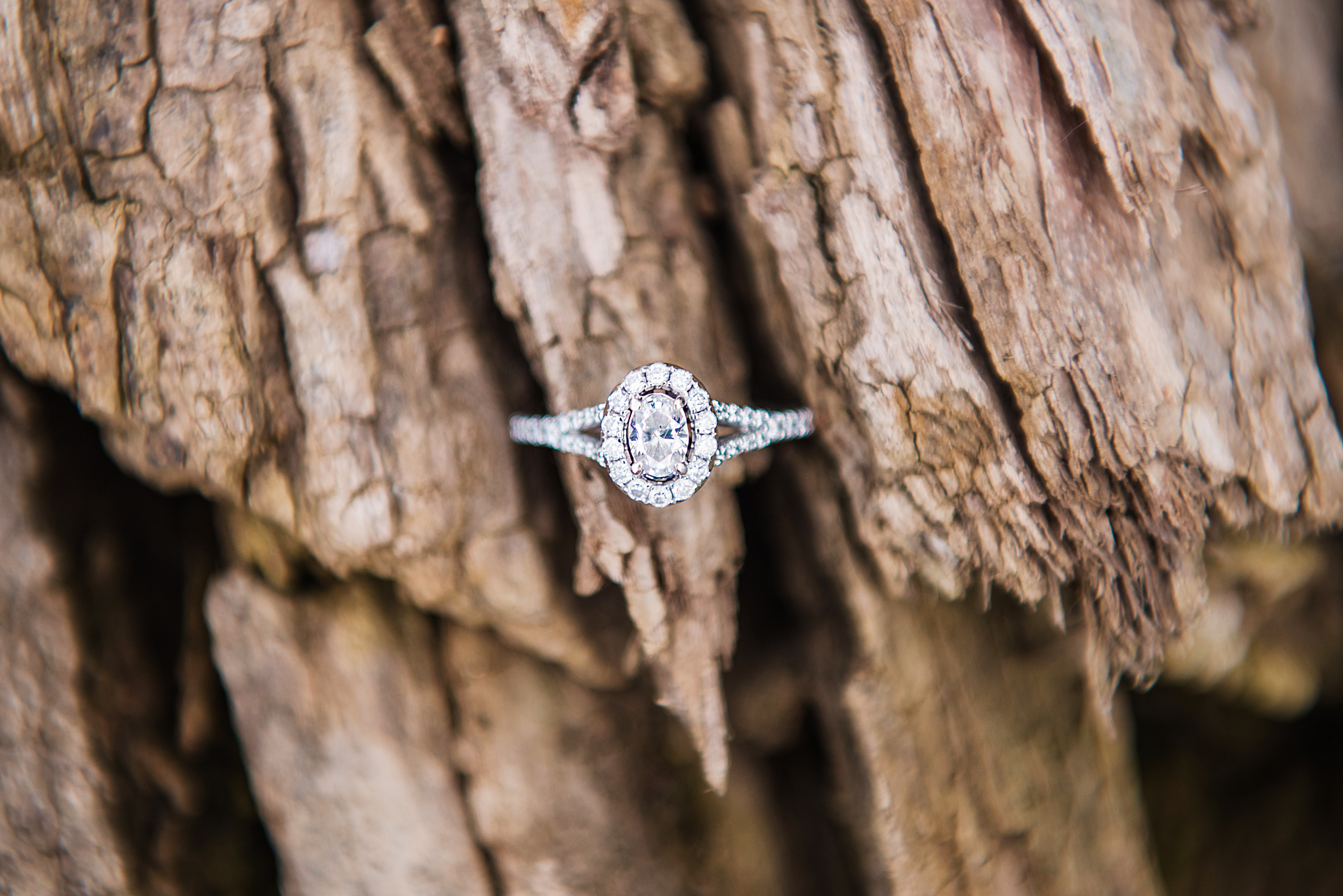 Mendon_Ponds_Park_Rochester_Engagement_Session_JILL_STUDIO_Rochester_NY_Photographer_DSC_5277.jpg
