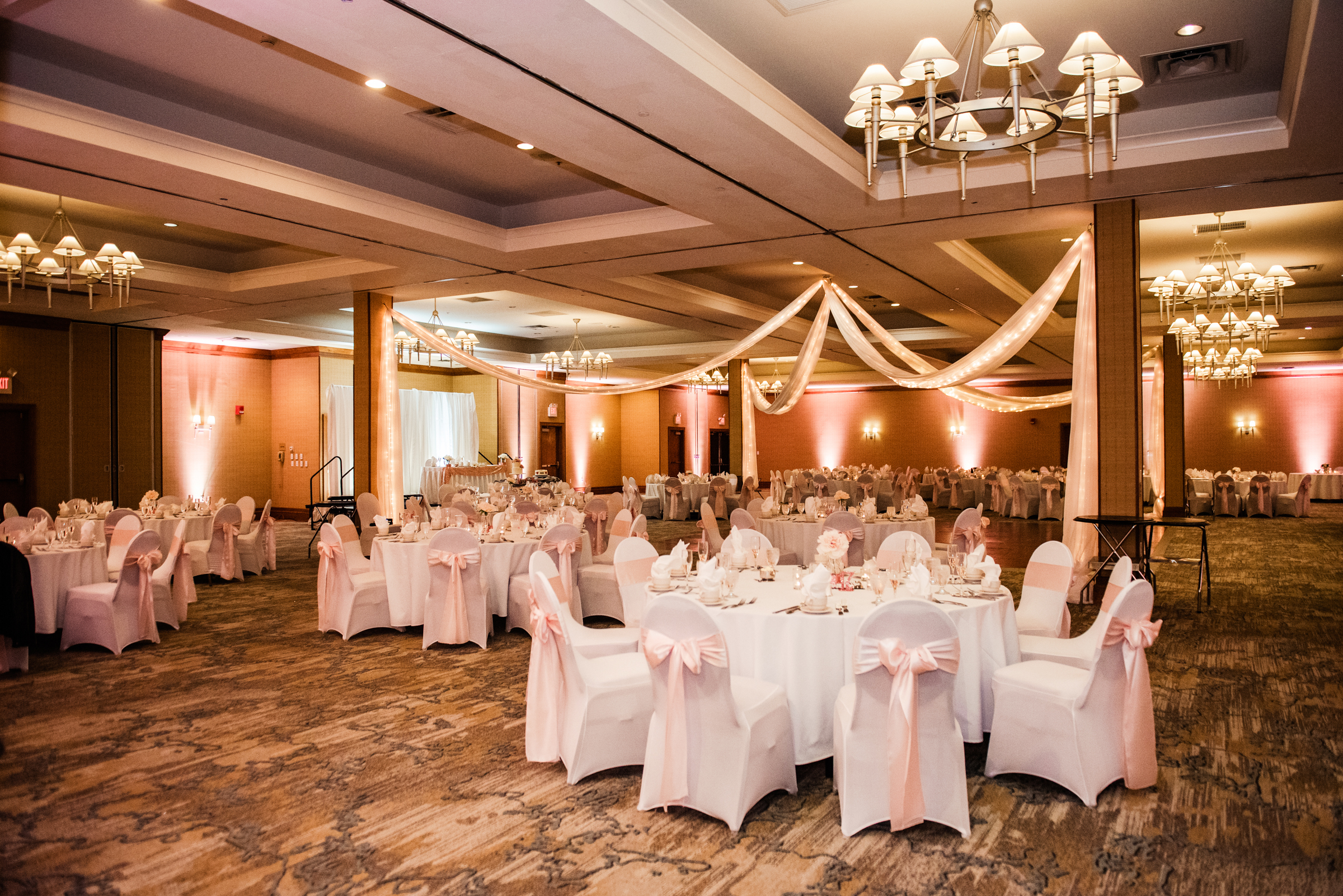 Double_Tree_by_Hilton_Rochester_Wedding_JILL_STUDIO_Rochester_NY_Photographer_DSC_4418.jpg