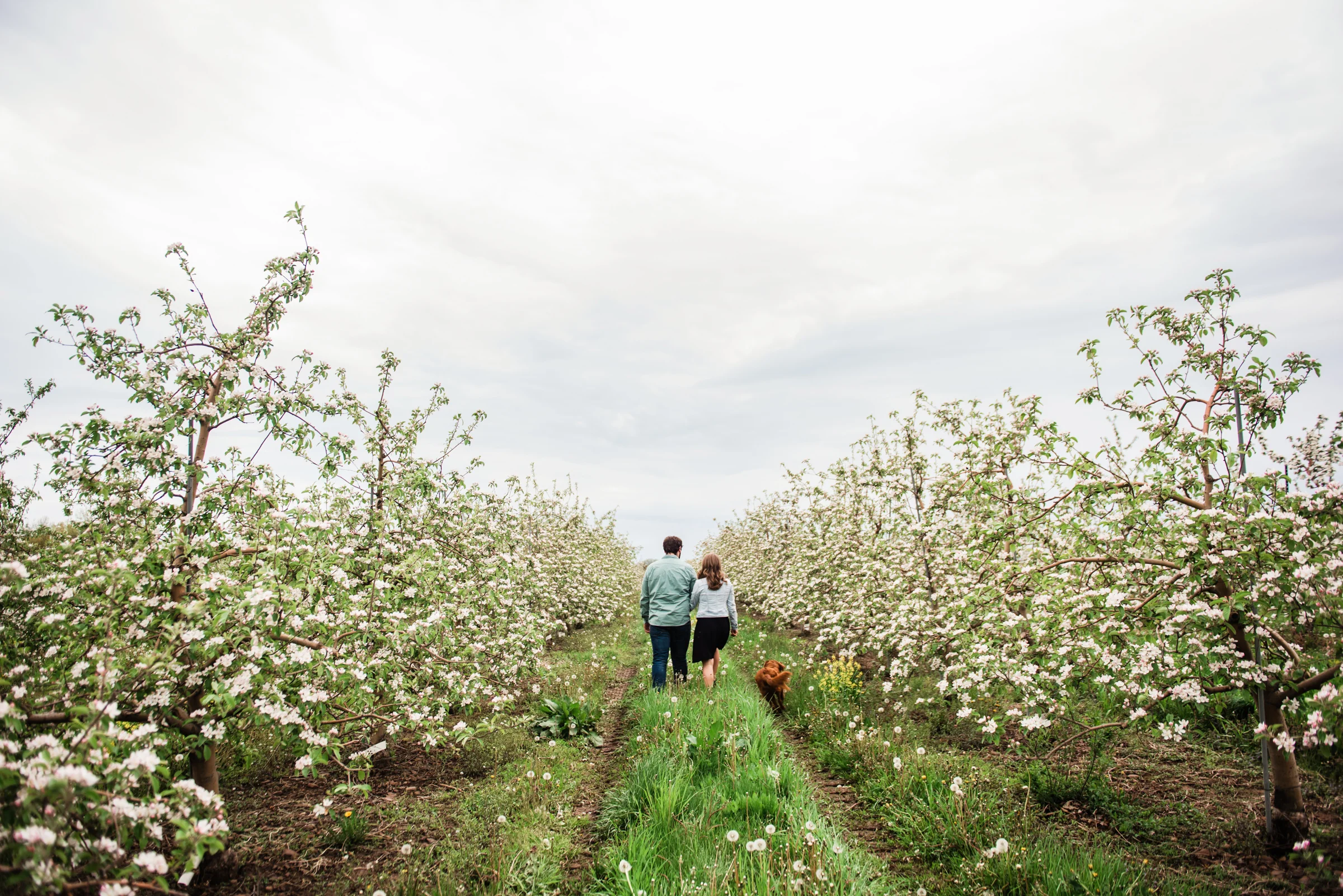 Fox_Farm_Rochester_Couples_Session_JILL_STUDIO_Rochester_NY_Photographer_DSC_7535.jpg