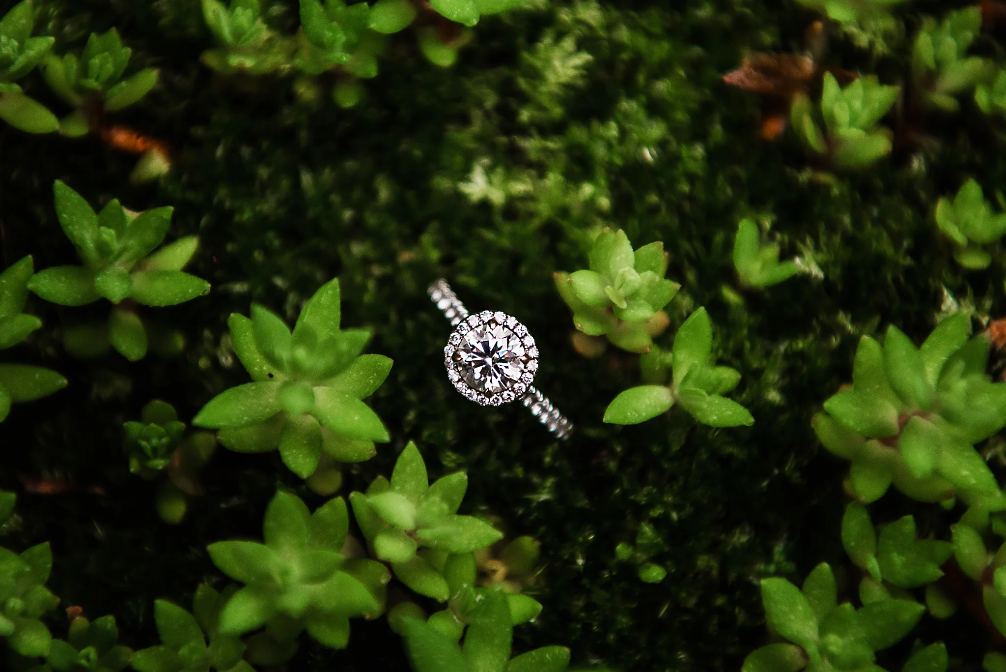Warner_Castle_Highland_Park_Rochester_Engagement_Session_JILL_STUDIO_Rochester_NY_Photographer_DSC_8000.jpg