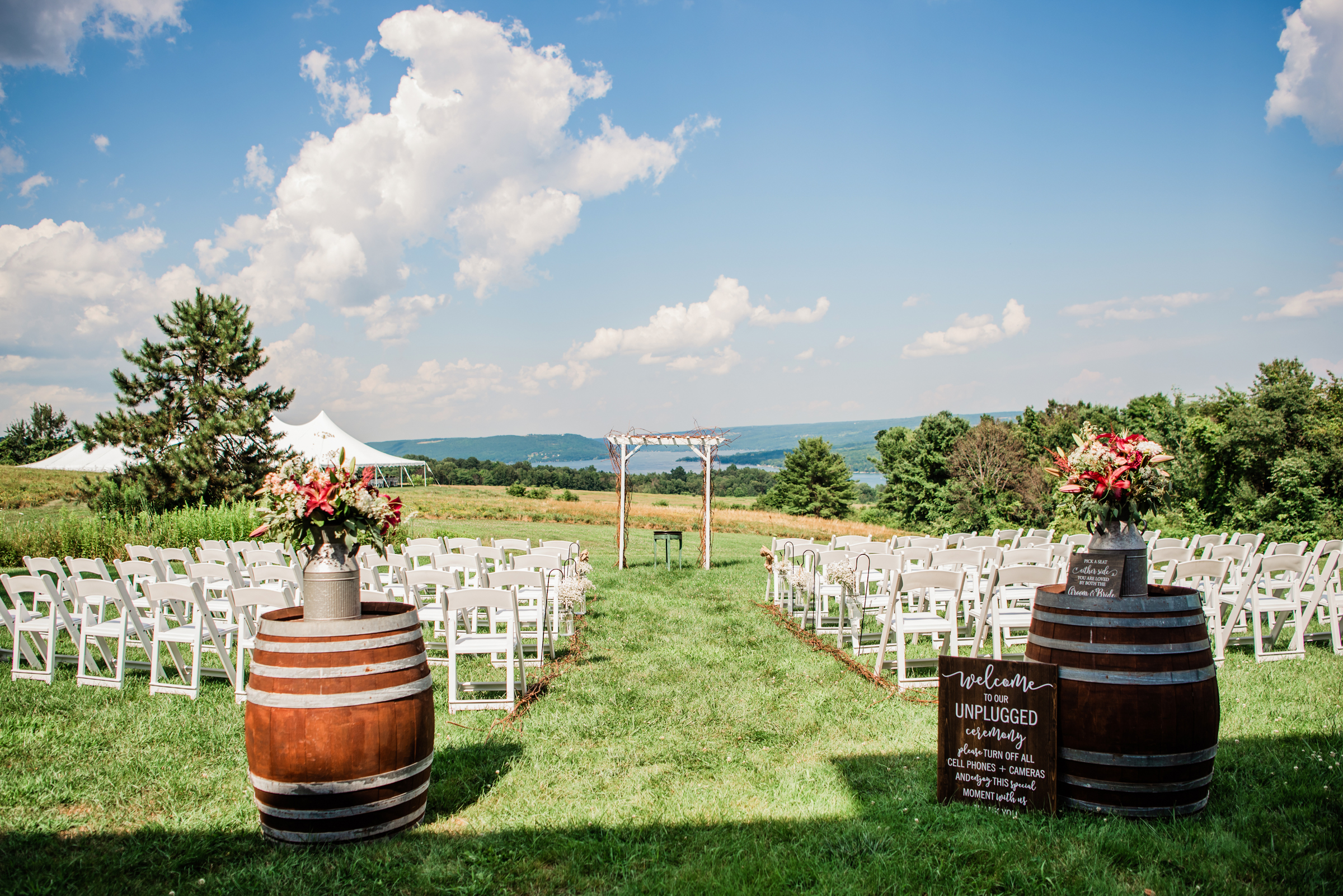 Manor_House_Estate_Finger_Lakes_Wedding_JILL_STUDIO_Rochester_NY_Photographer_DSC_6002.jpg