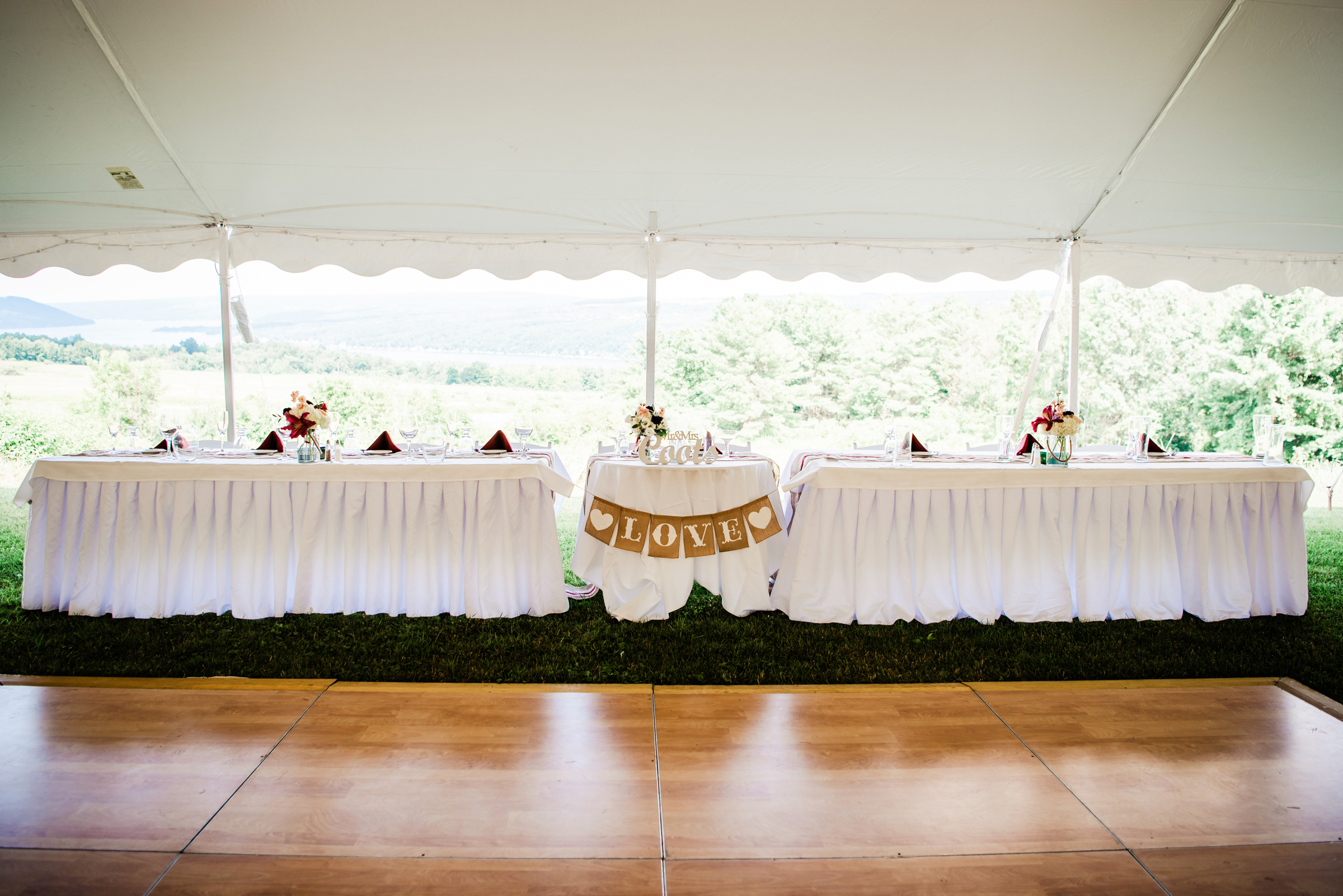 Manor_House_Estate_Finger_Lakes_Wedding_JILL_STUDIO_Rochester_NY_Photographer_DSC_6033.jpg