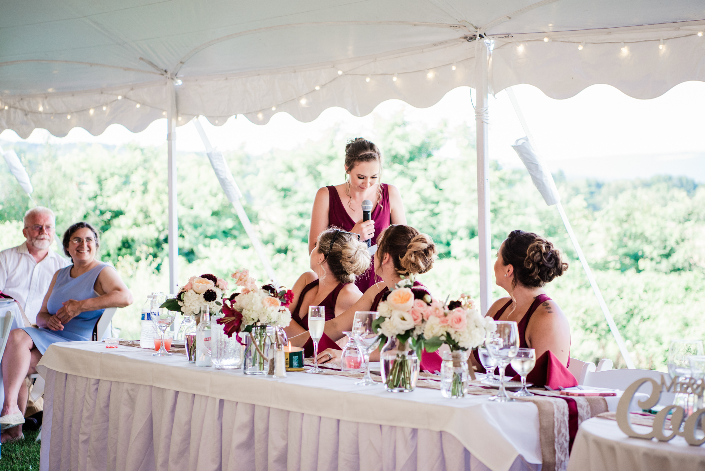 Manor_House_Estate_Finger_Lakes_Wedding_JILL_STUDIO_Rochester_NY_Photographer_DSC_6505.jpg