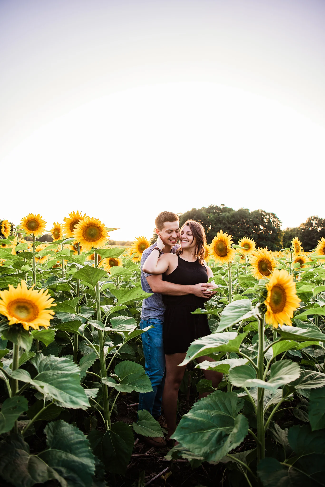 Mendon_Ponds_Park_Sunflower_Farm_Rochester_Engagement_Session_JILL_STUDIO_Rochester_NY_Photographer_DSC_1090.jpg