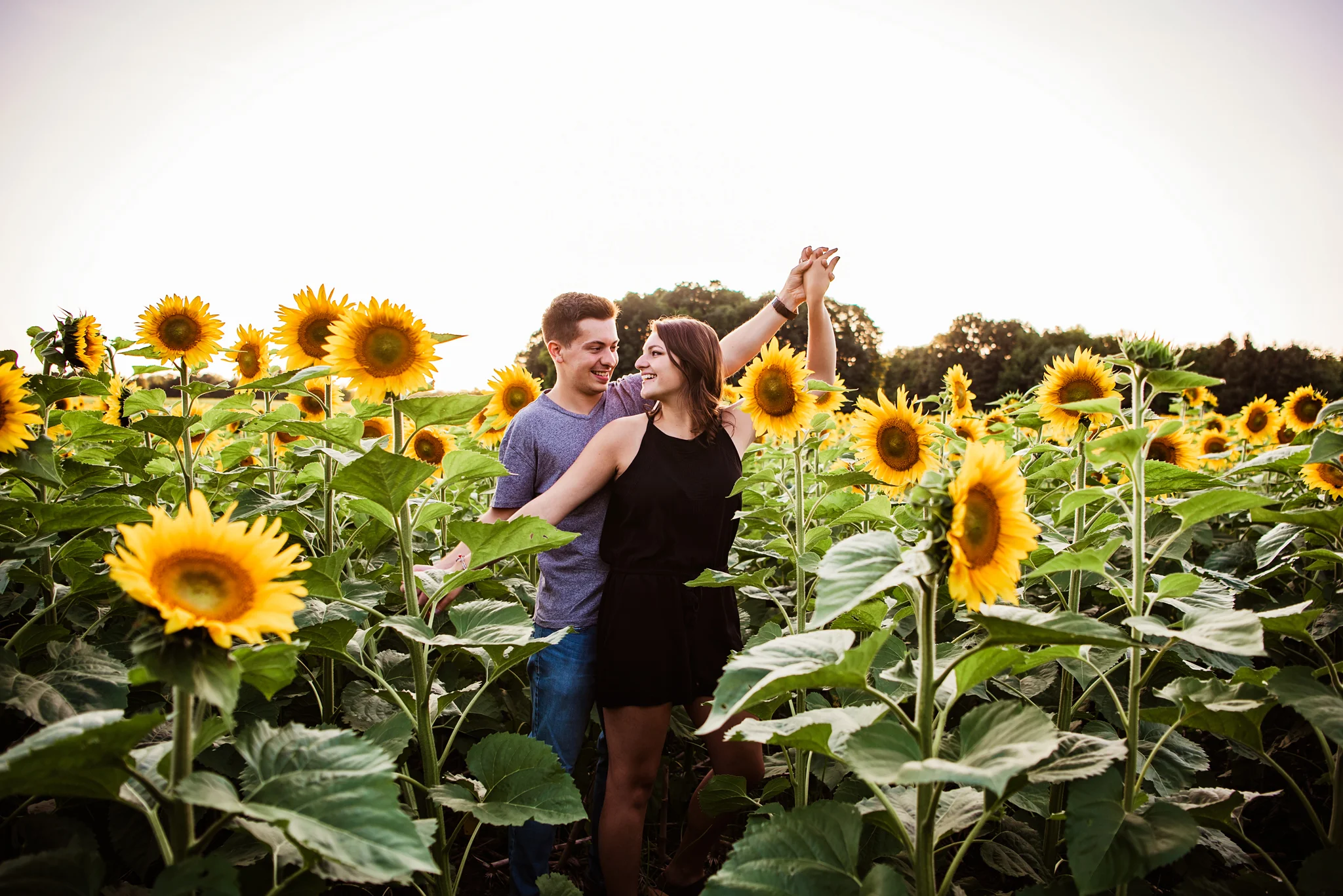 Mendon_Ponds_Park_Sunflower_Farm_Rochester_Engagement_Session_JILL_STUDIO_Rochester_NY_Photographer_DSC_1097.jpg
