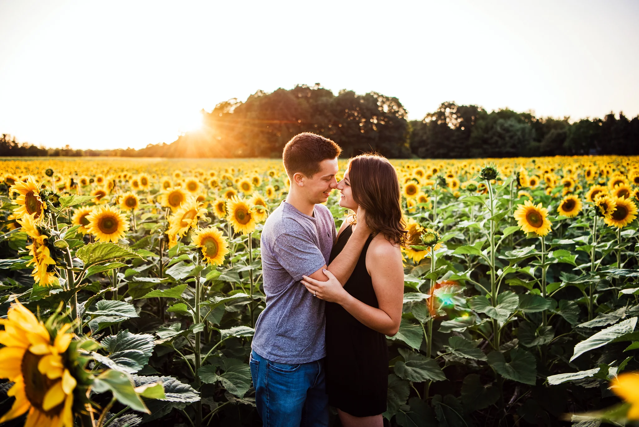 Mendon_Ponds_Park_Sunflower_Farm_Rochester_Engagement_Session_JILL_STUDIO_Rochester_NY_Photographer_DSC_1129.jpg
