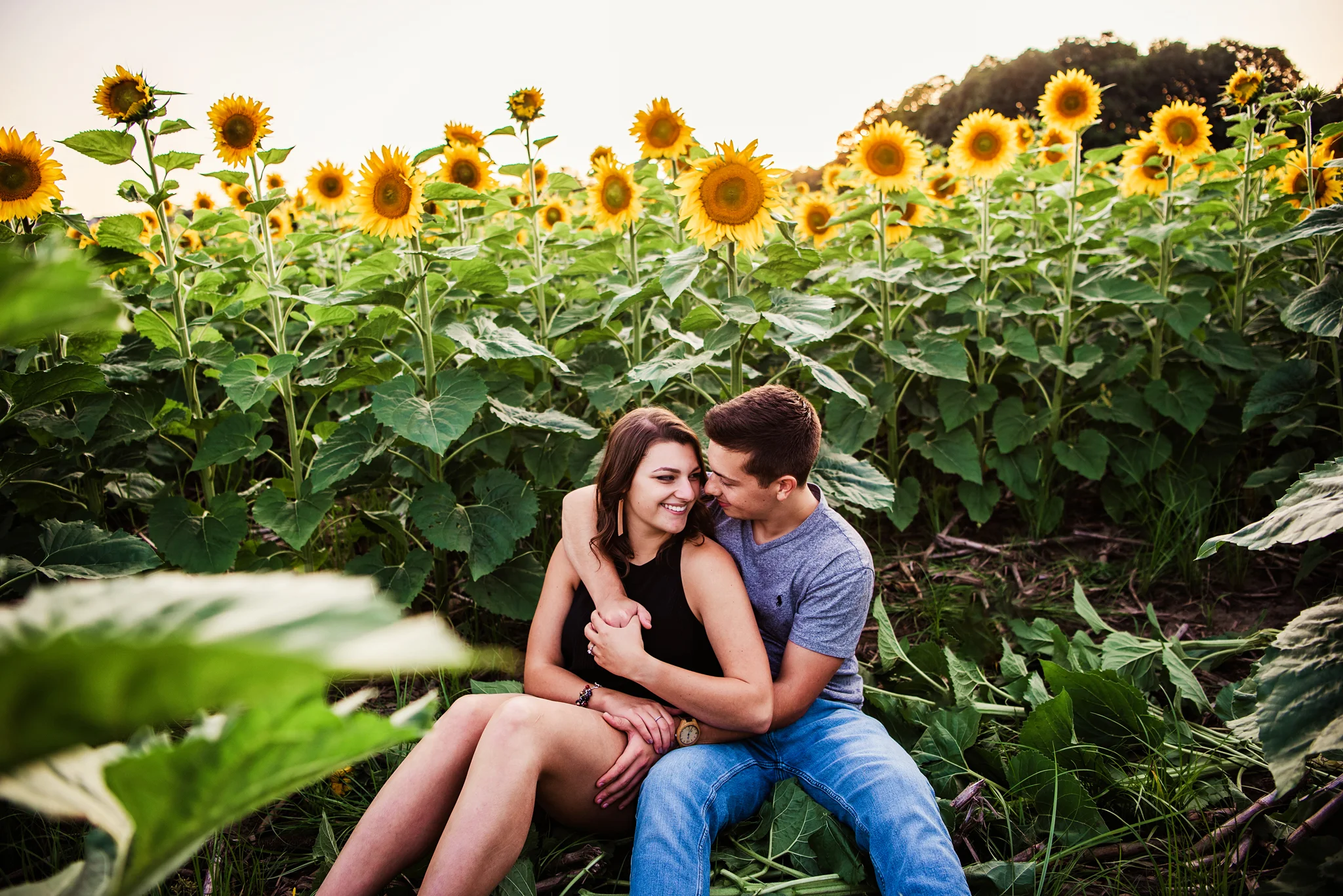 Mendon_Ponds_Park_Sunflower_Farm_Rochester_Engagement_Session_JILL_STUDIO_Rochester_NY_Photographer_DSC_1175.jpg