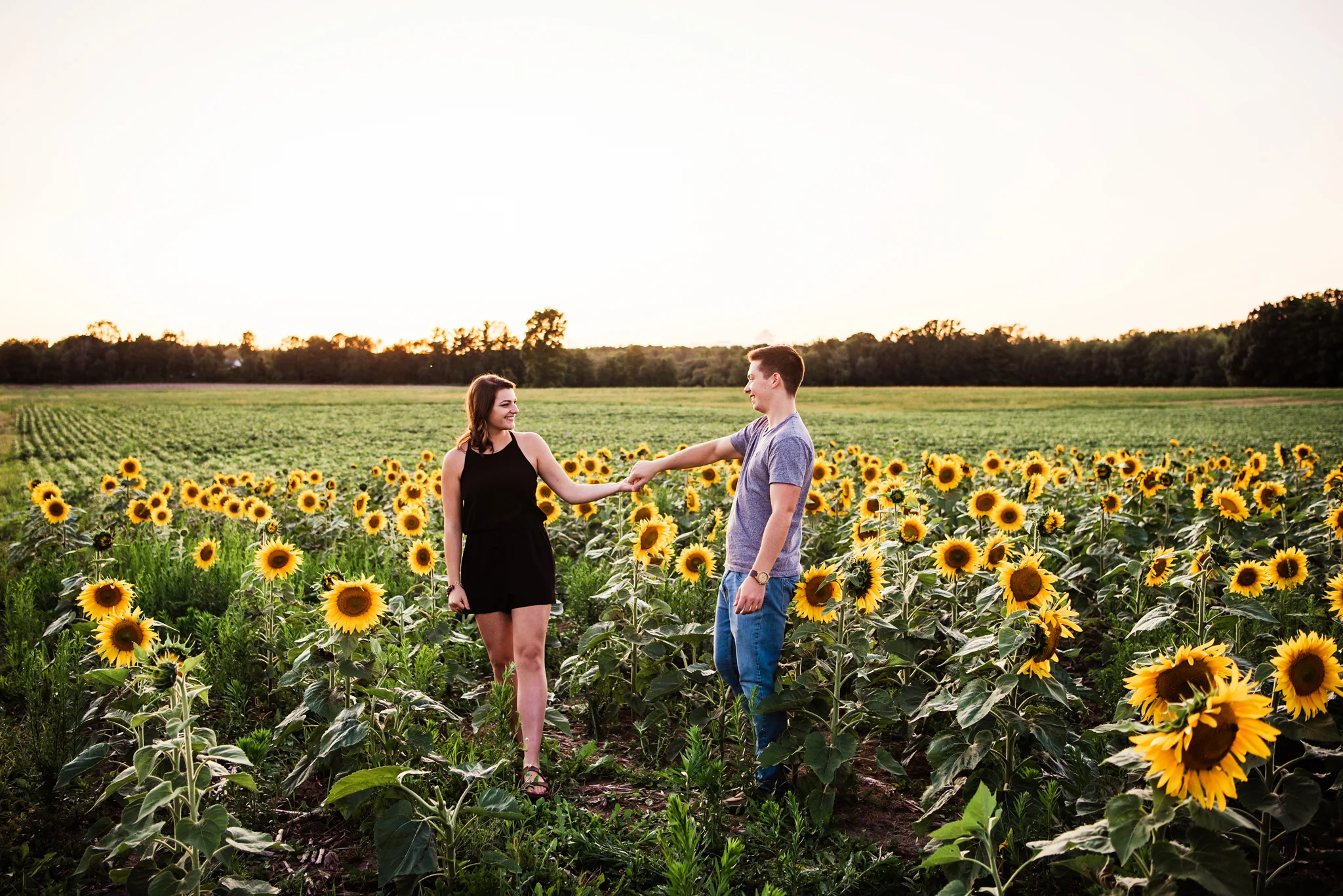 Mendon_Ponds_Park_Sunflower_Farm_Rochester_Engagement_Session_JILL_STUDIO_Rochester_NY_Photographer_DSC_1375.jpg