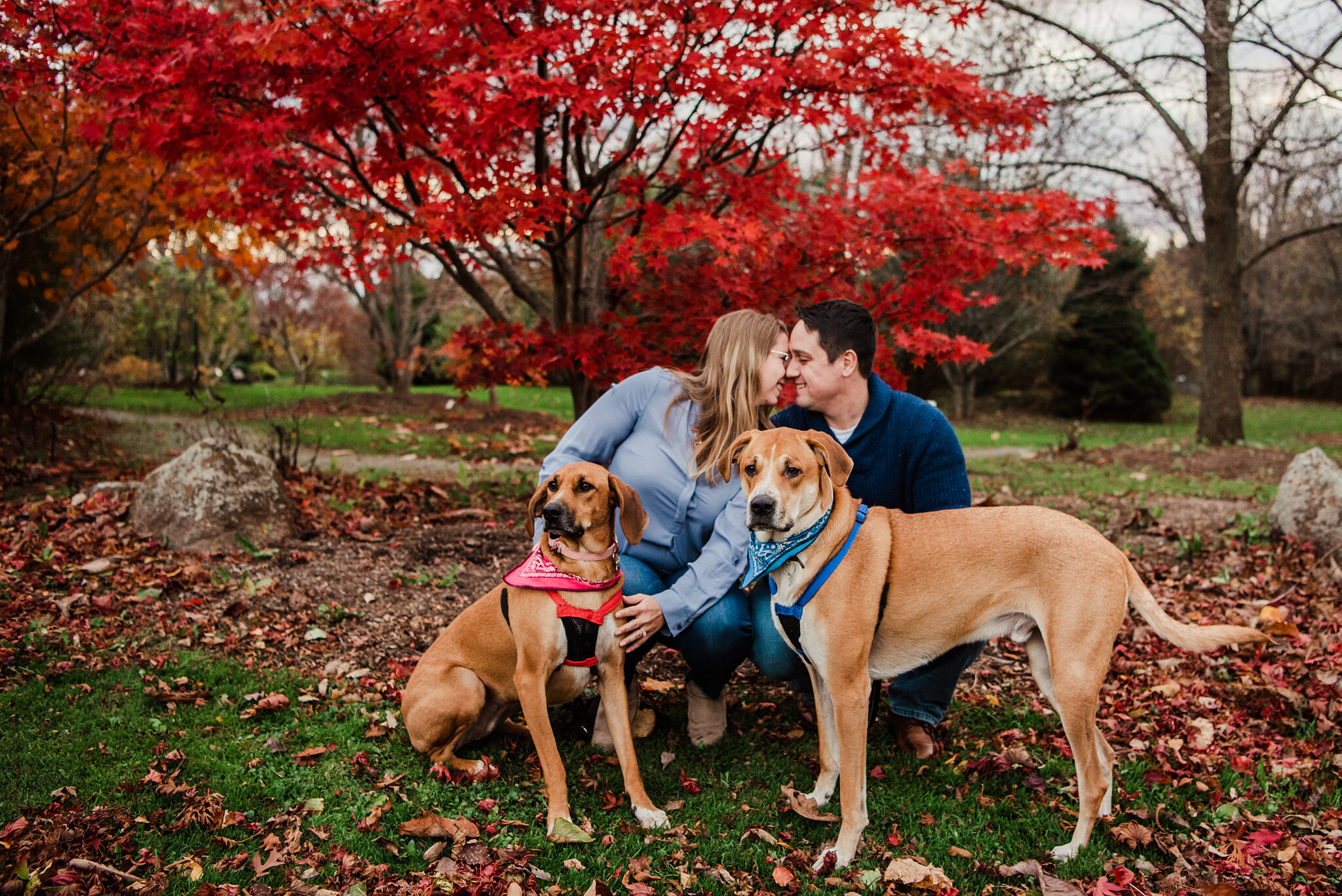 Webster_Arboretum_Rochester_Family_Session_JILL_STUDIO_Rochester_NY_Photographer_2936.jpg