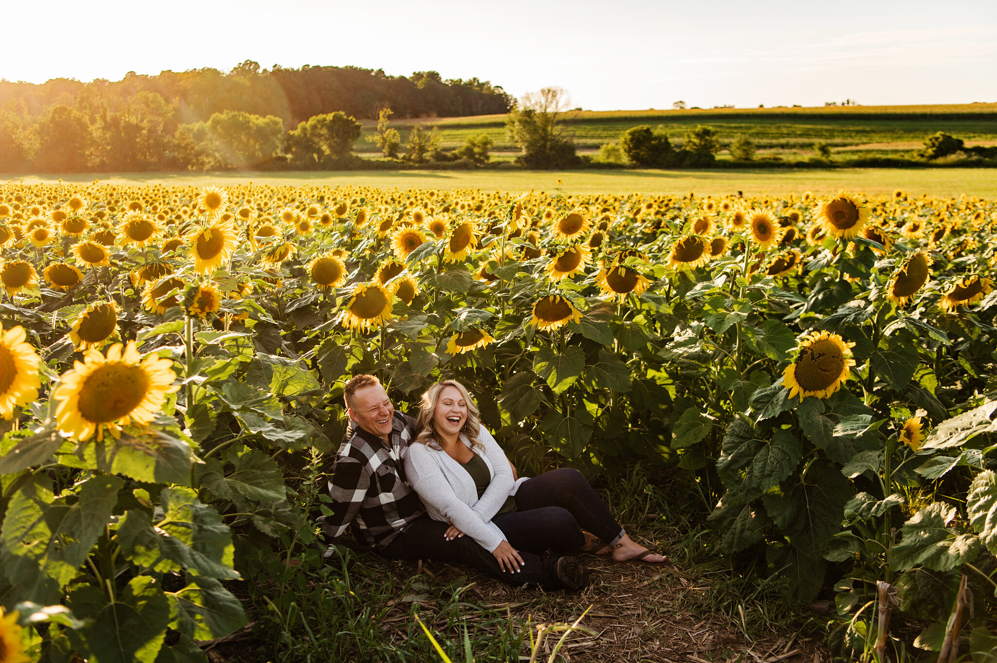 Sunflower_Farm_Rochester_Engagement_Session_JILL_STUDIO_Rochester_NY_Photographer_6412.jpg