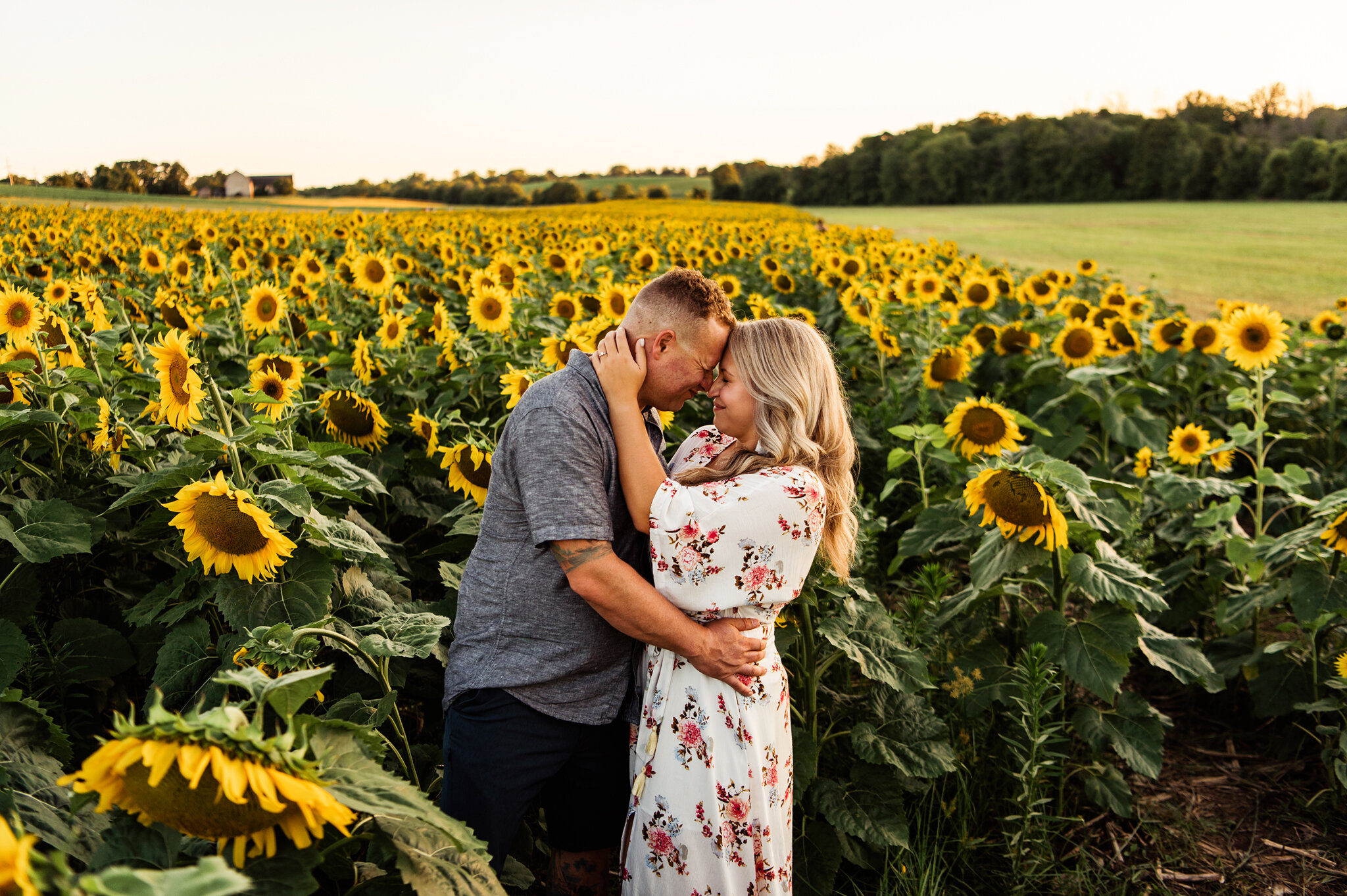 Sunflower_Farm_Rochester_Engagement_Session_JILL_STUDIO_Rochester_NY_Photographer_6762.jpg