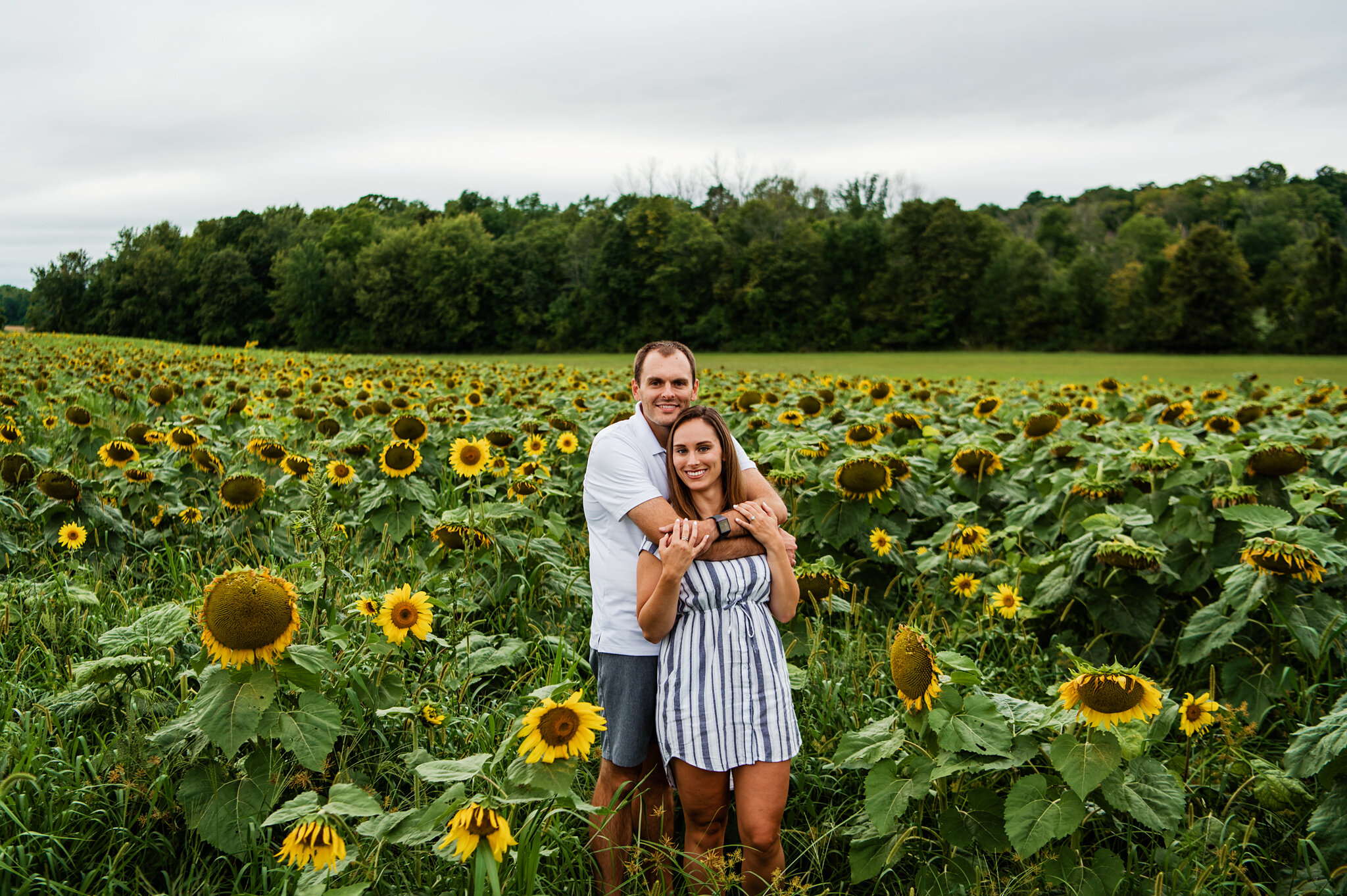 Sunflower_Farm_Rochester_Engagement_Session_JILL_STUDIO_Rochester_NY_Photographer_9044.jpg