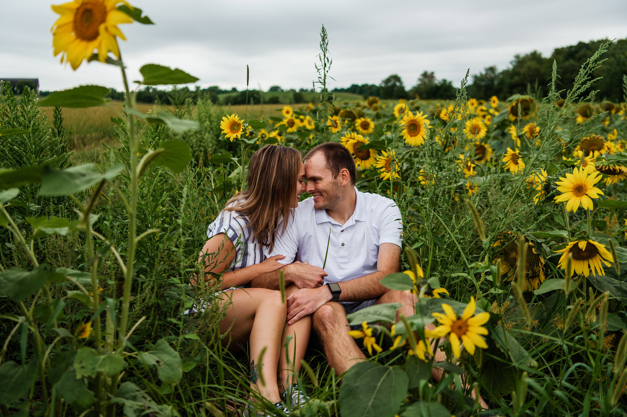 Sunflower_Farm_Rochester_Engagement_Session_JILL_STUDIO_Rochester_NY_Photographer_9127.jpg